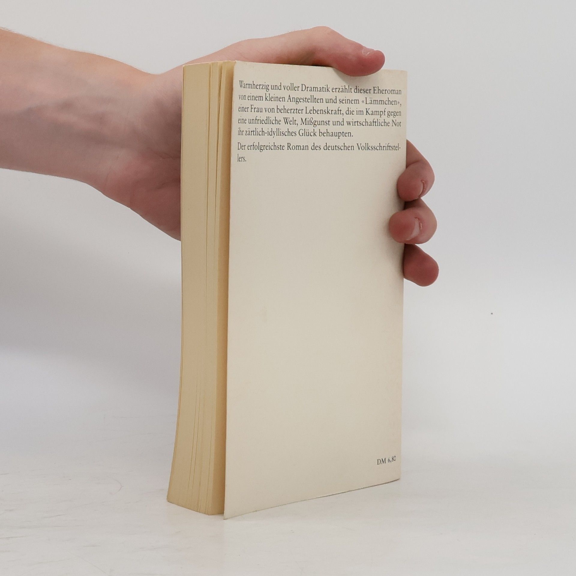 Hans Fallada Kleiner Mann - was nun?