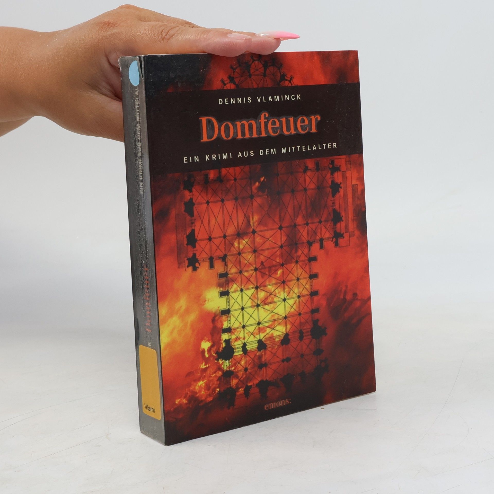 Dennis Vlaminck Domfeuer