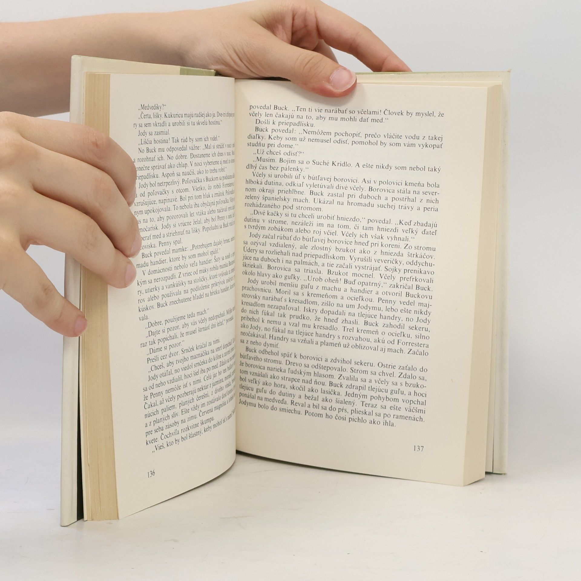 Marjorie Kinnan Rawlings Dieťa divočiny