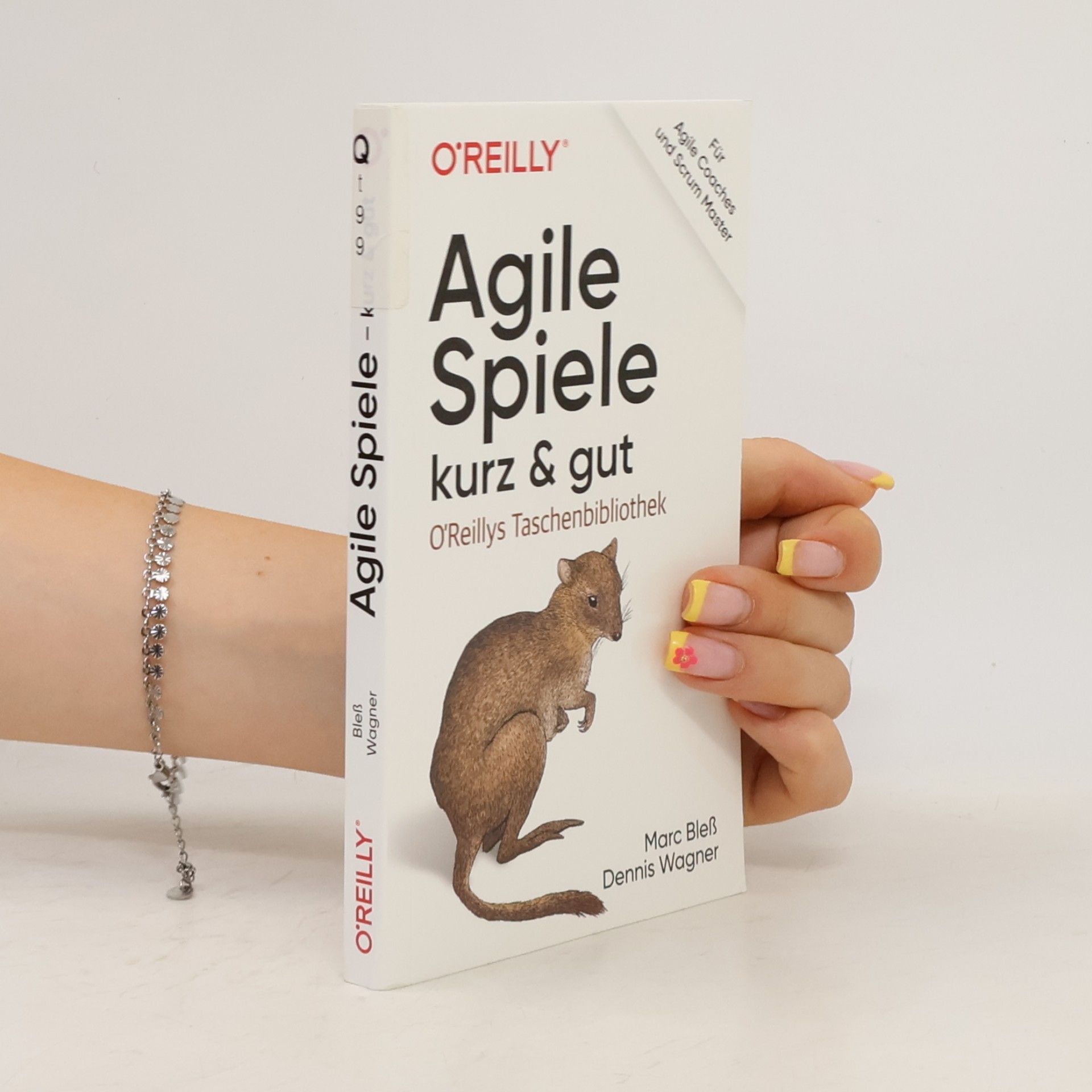 Marc Bleß Agile Spiele – kurz & gut