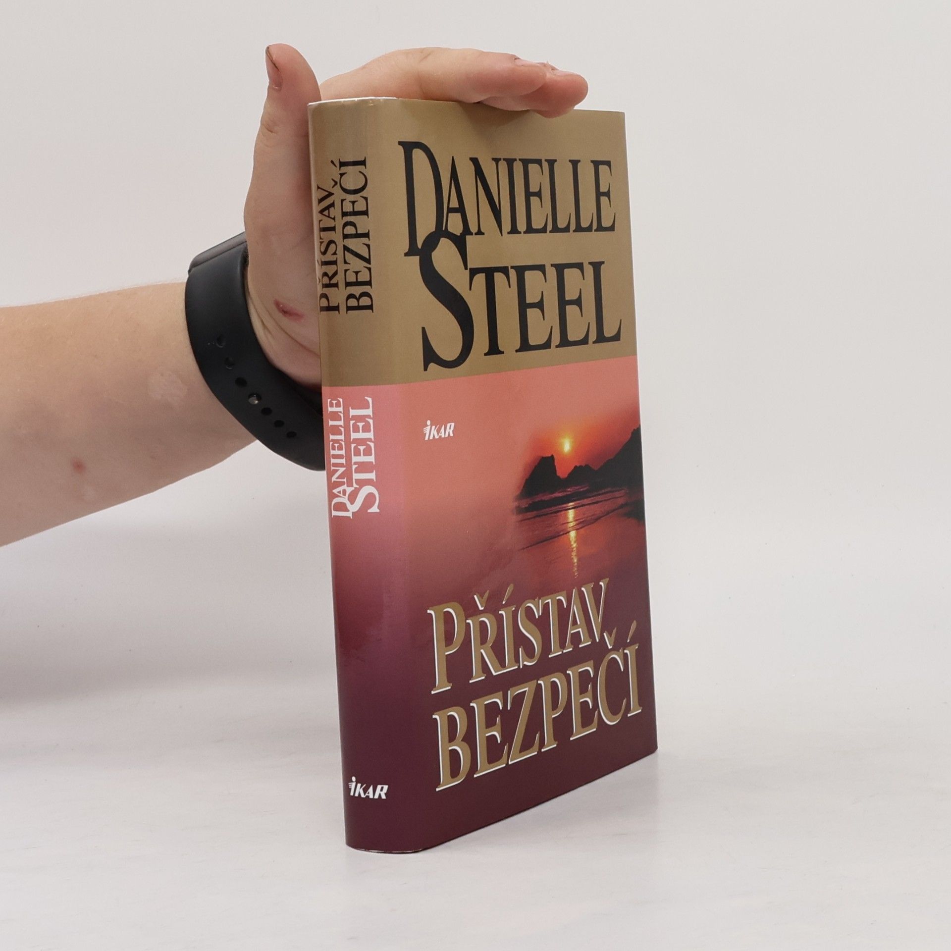 Danielle Steel Přístav bezpečí