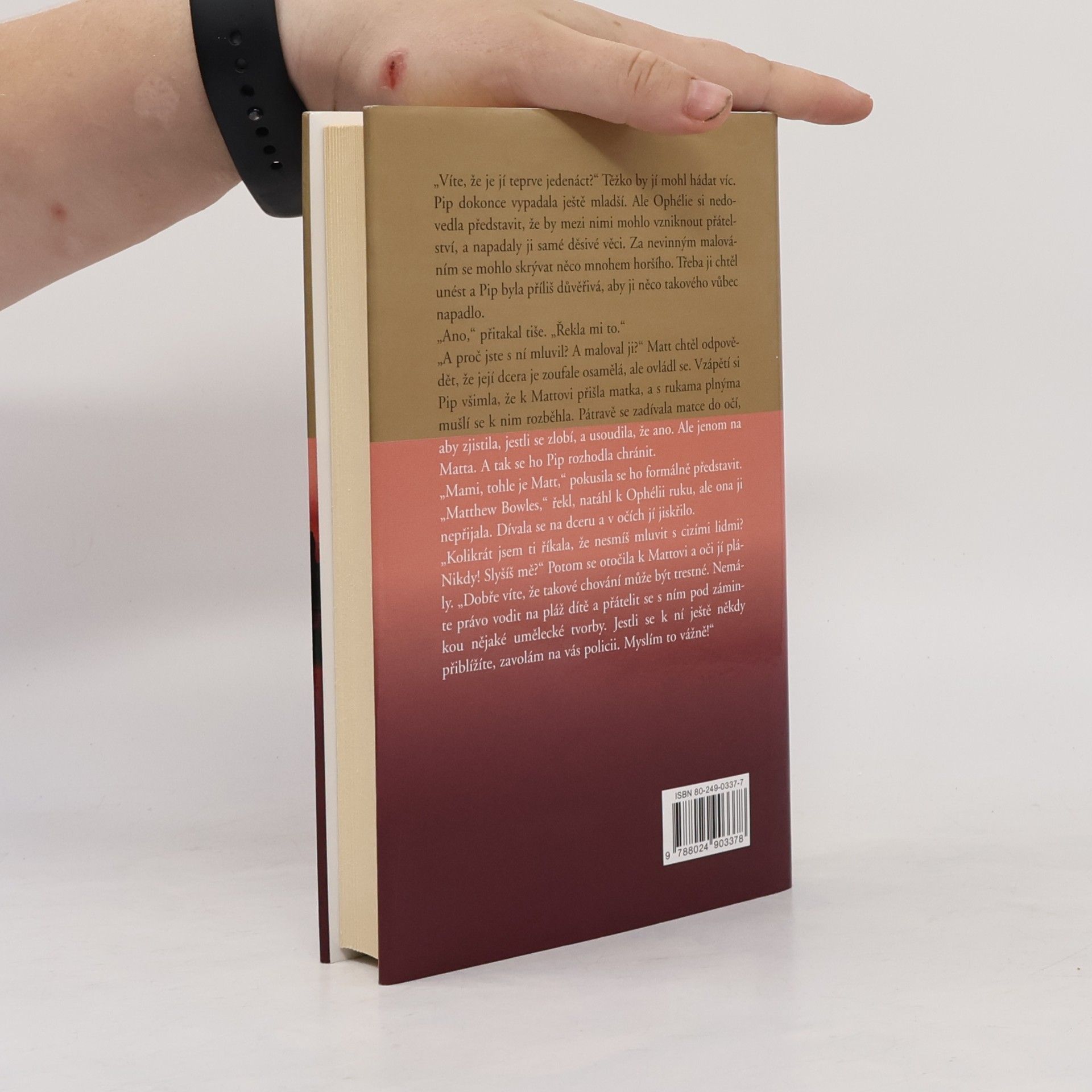 Danielle Steel Přístav bezpečí
