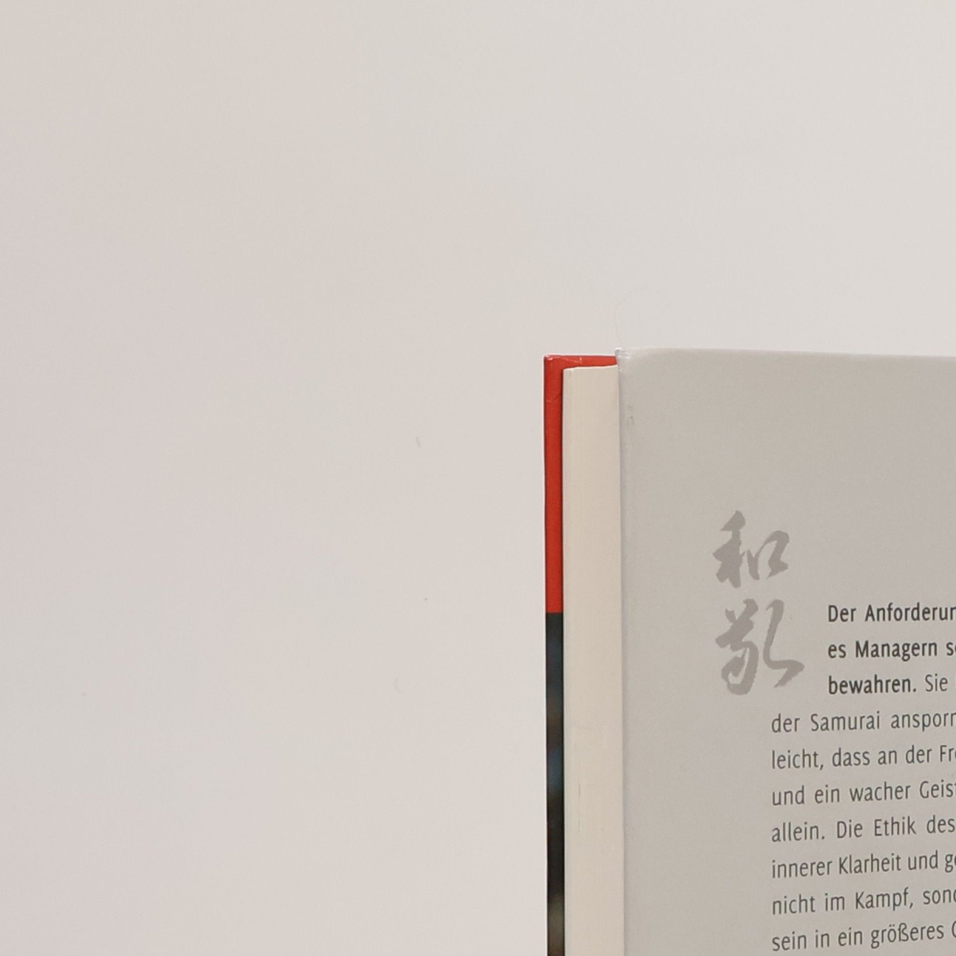 Hinnerk Polenski Die Linie im Chaos - Zen, Ethik, Leadership