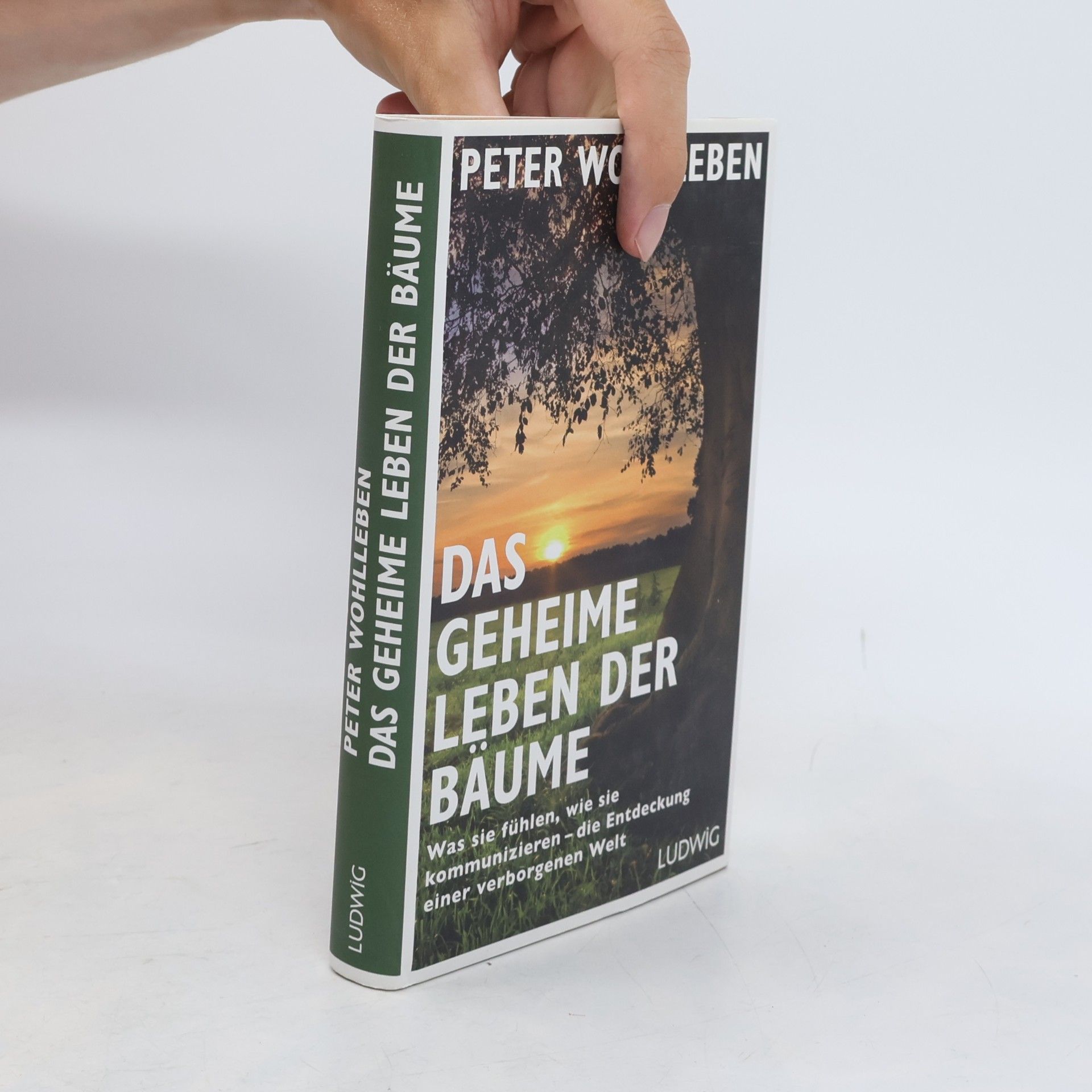 Peter Wohlleben Das geheime Leben der Bäume