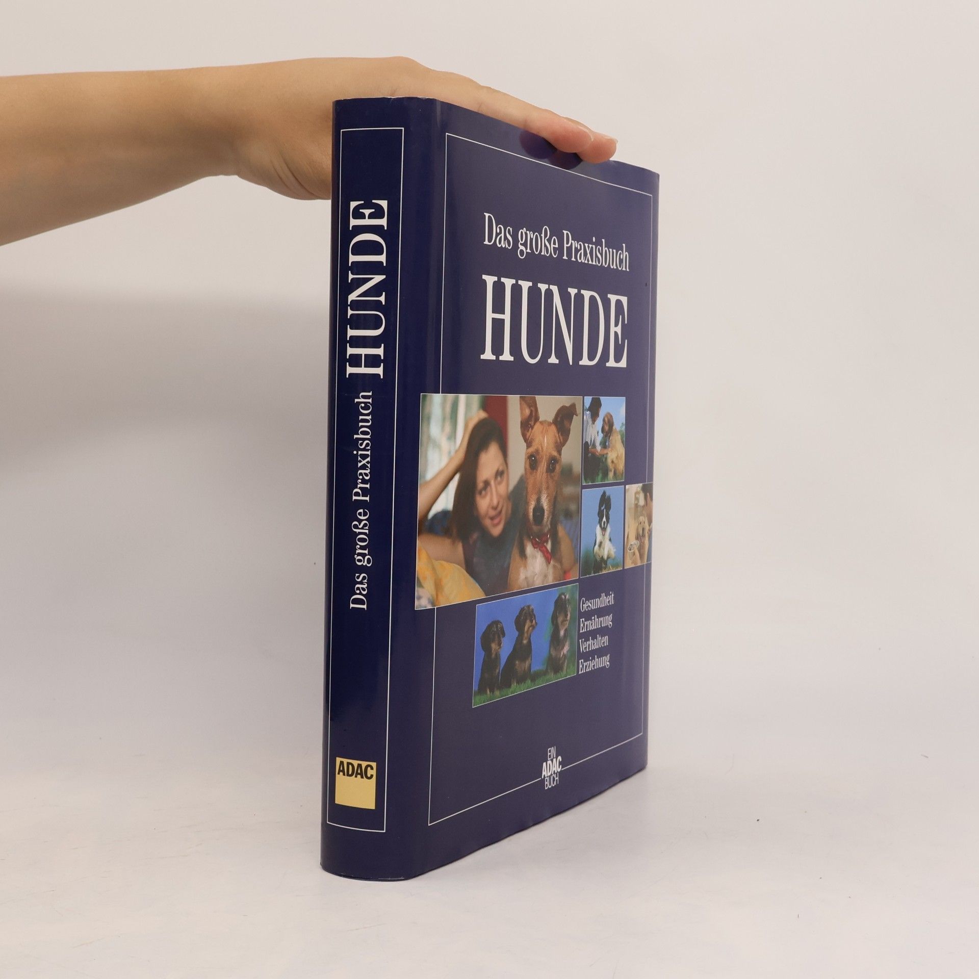 Autorenkollektiv Das große Praxisbuch Hunde