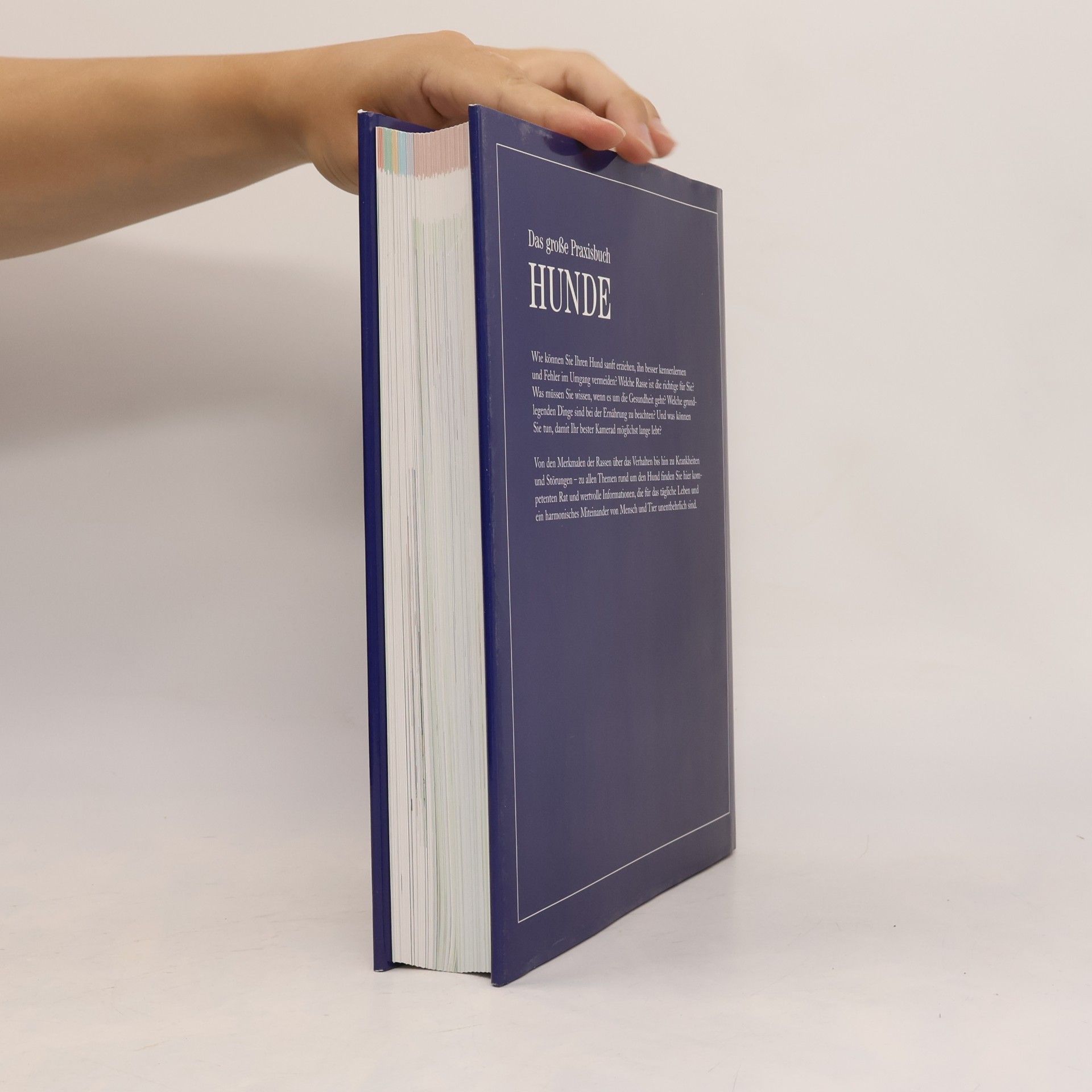 kolektiv Das große Praxisbuch Hunde