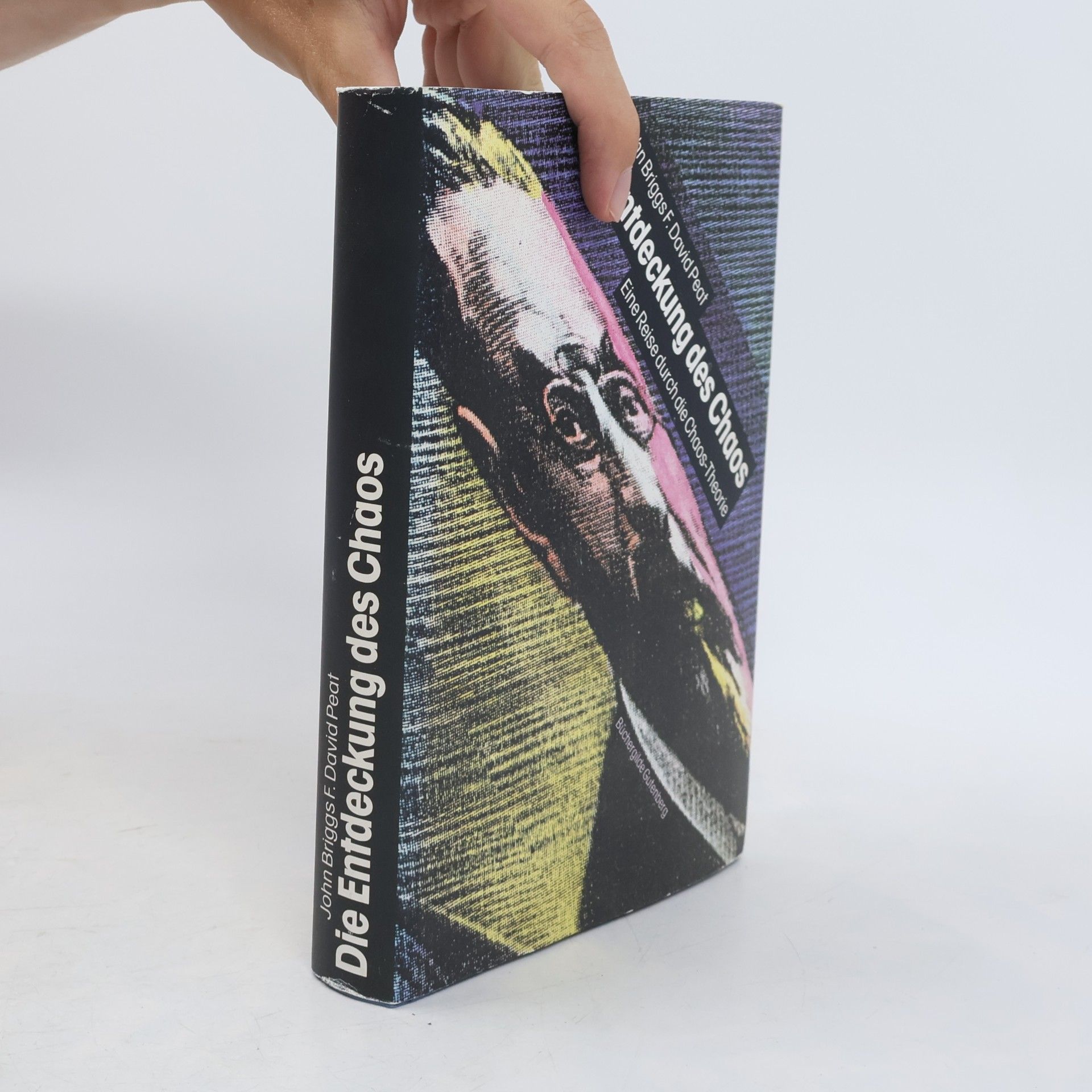 John P. Briggs Die Entdeckung des Chaos