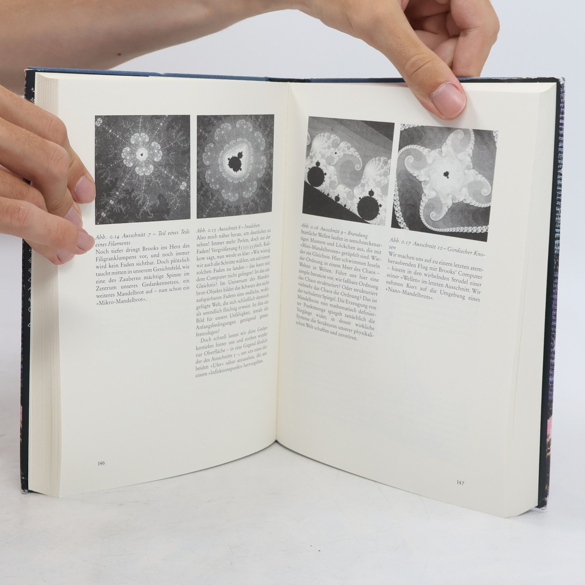 John P. Briggs Die Entdeckung des Chaos