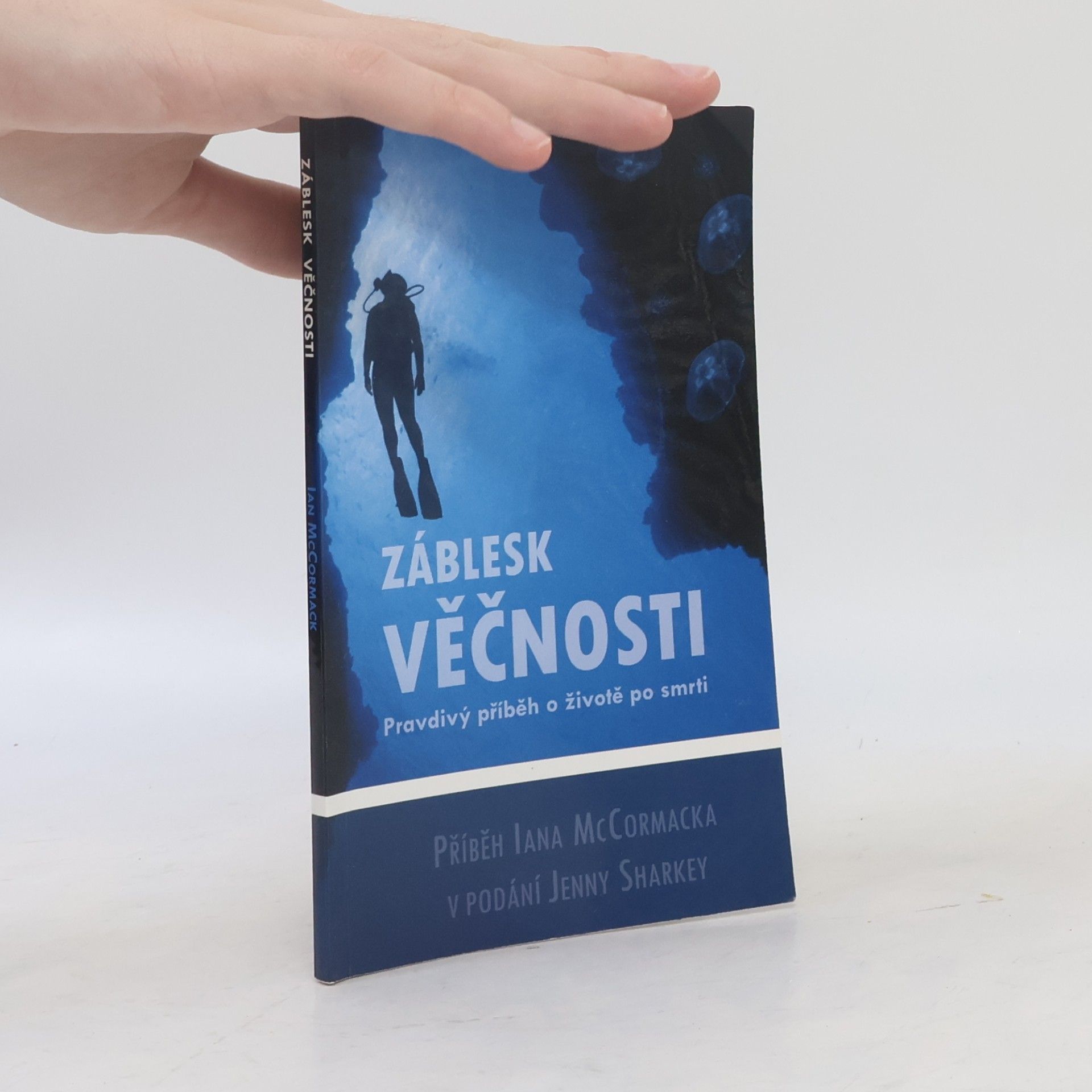 Jenny Sharkey Záblesk věčnosti : pravdivý příběh o životě po smrti