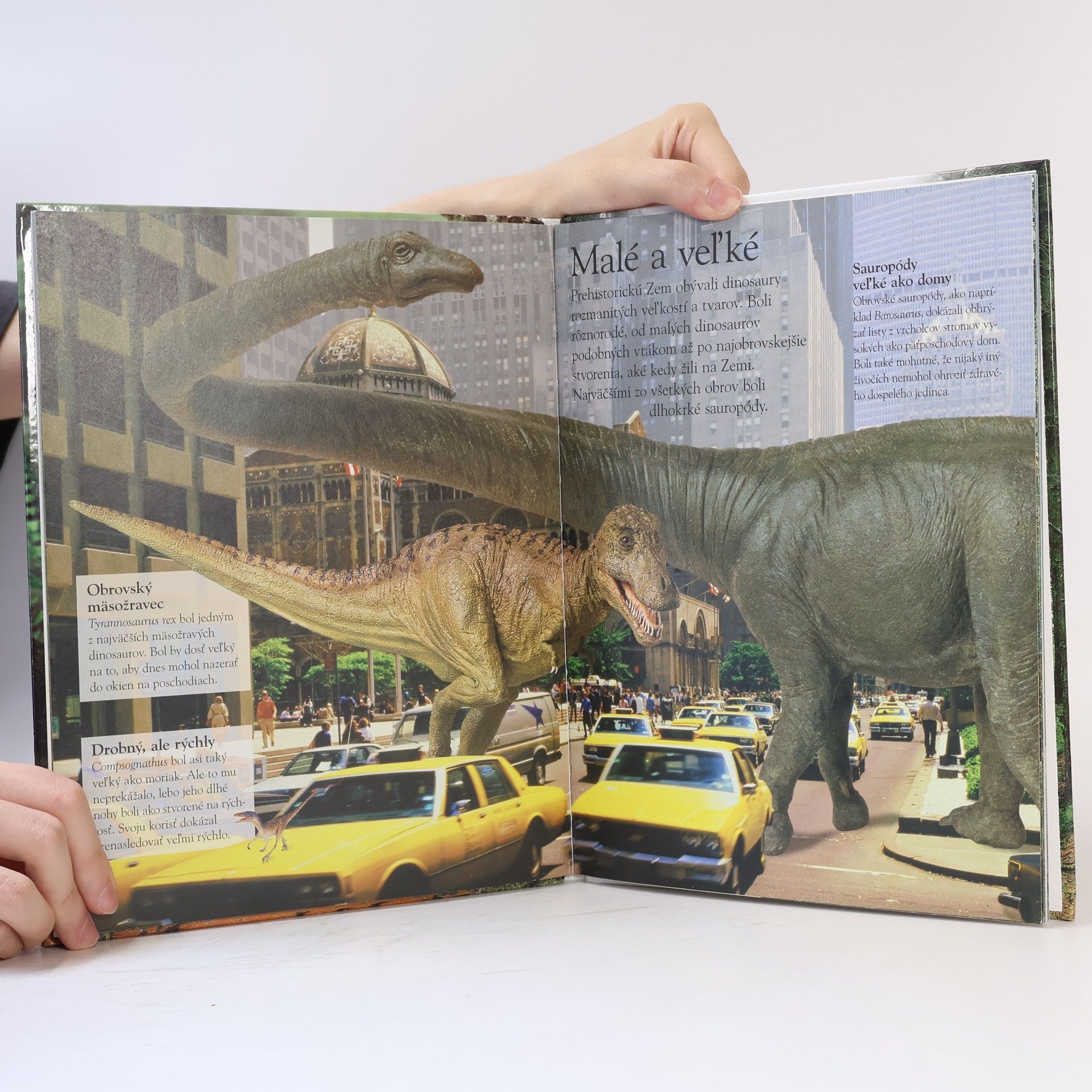 Collectif d'auteurs Dinosaury