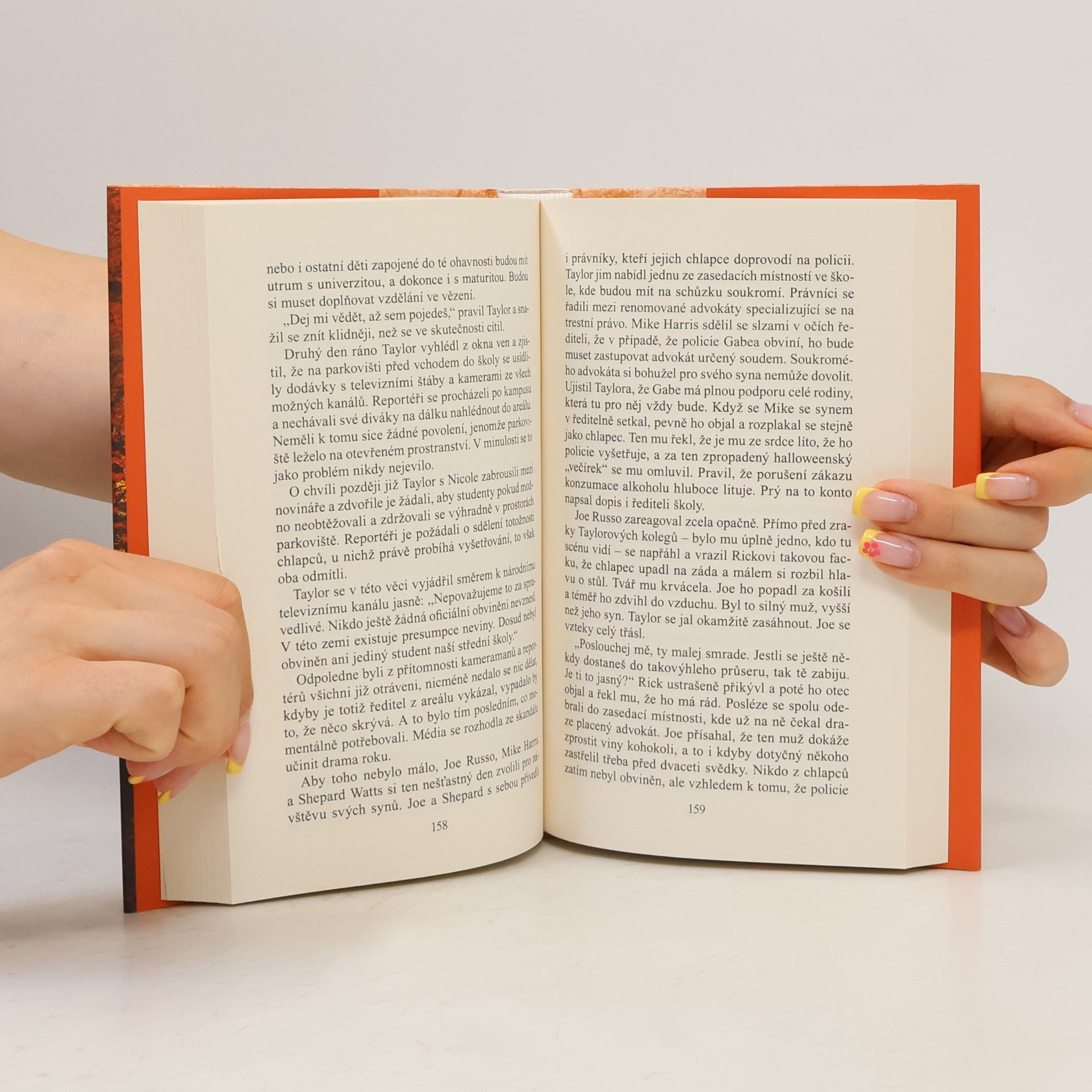 Danielle Steel Morální kompas