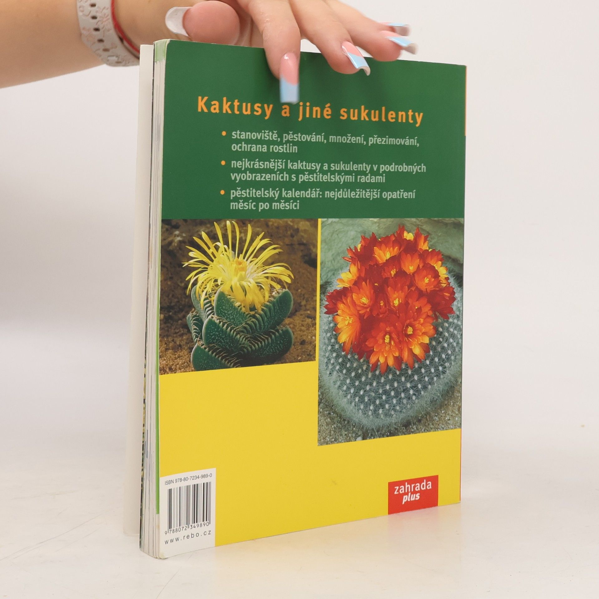 Elisabeth Manke Kaktusy a jiné sukulenty