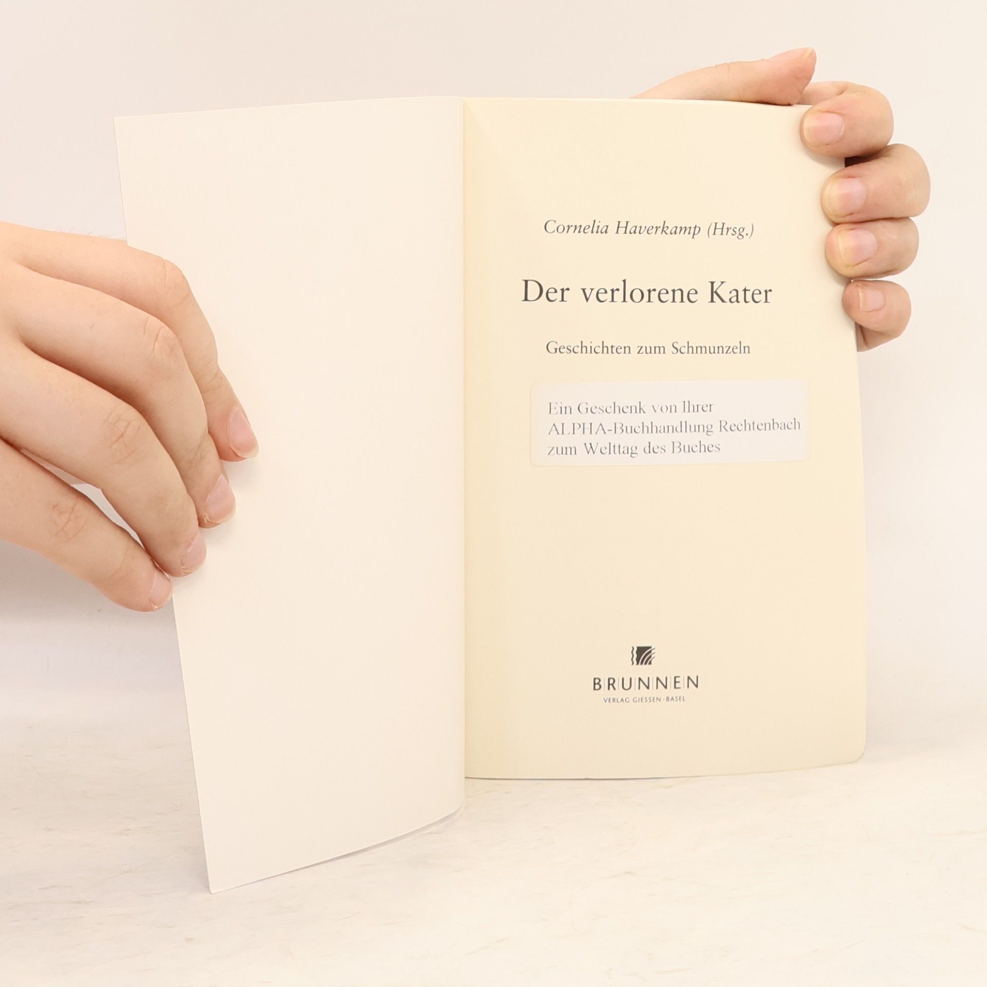 Cornelia Haverkamp Der verlorene Kater