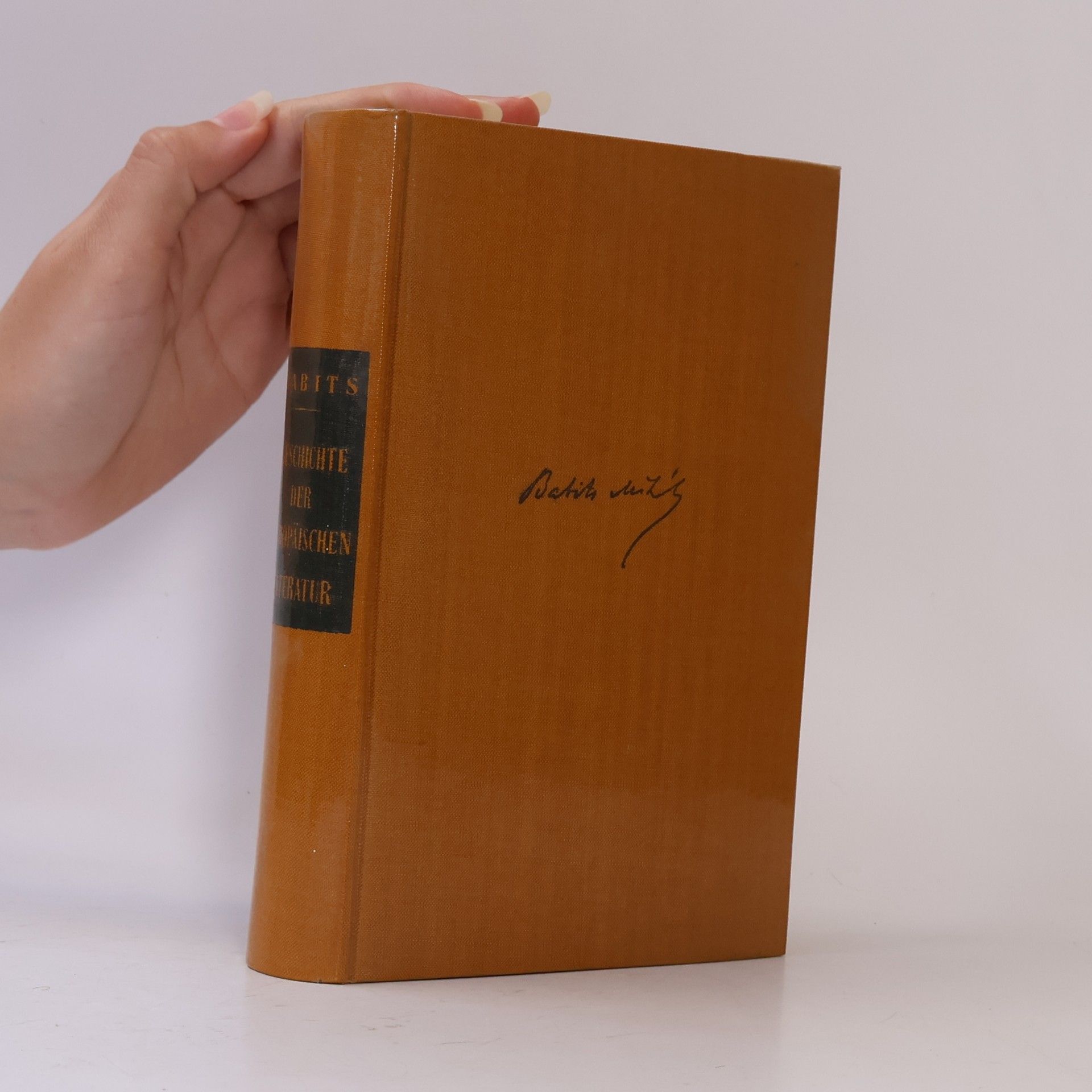 Michael Babits Geschichte der europäischen Literatur