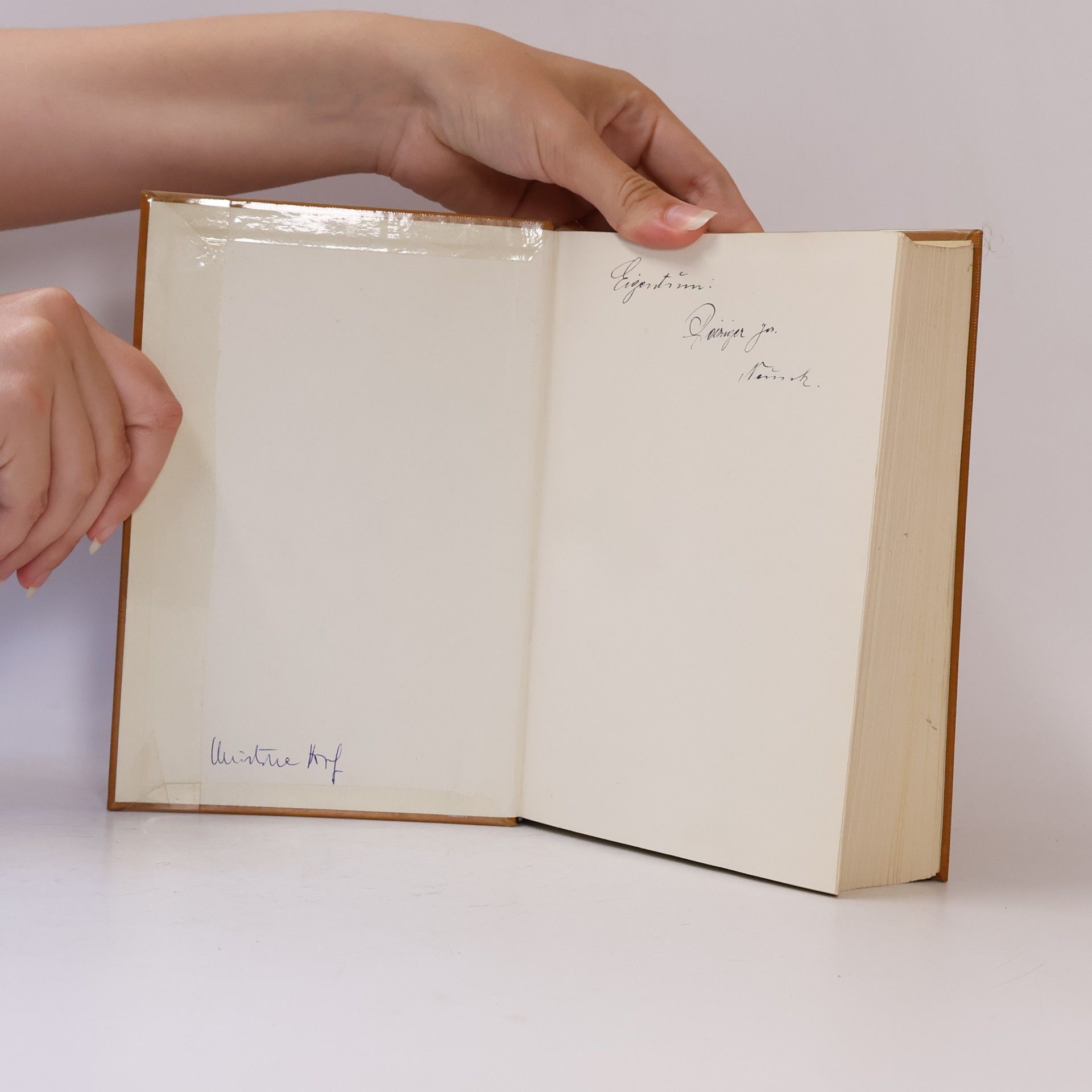Michael Babits Geschichte der europäischen Literatur
