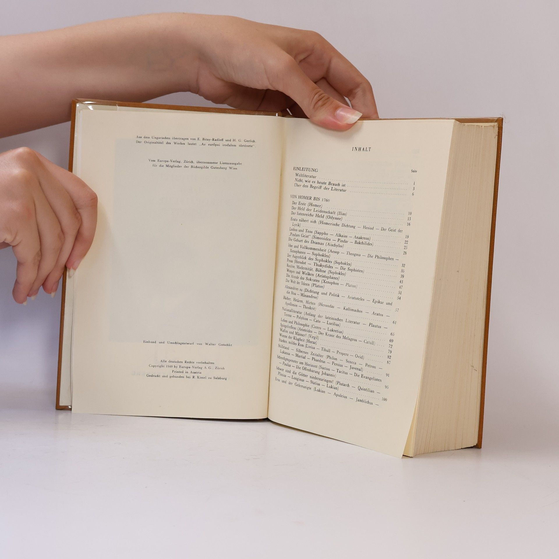 Michael Babits Geschichte der europäischen Literatur