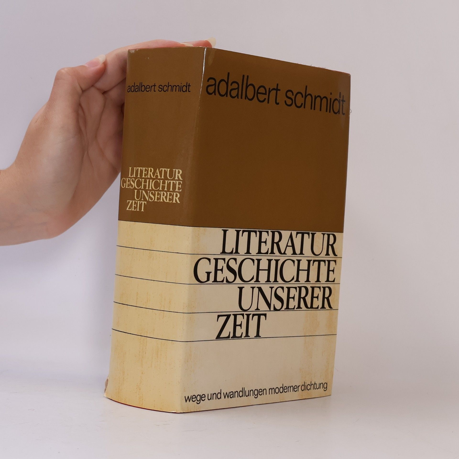 Literaturgeschichte unserer Zeit