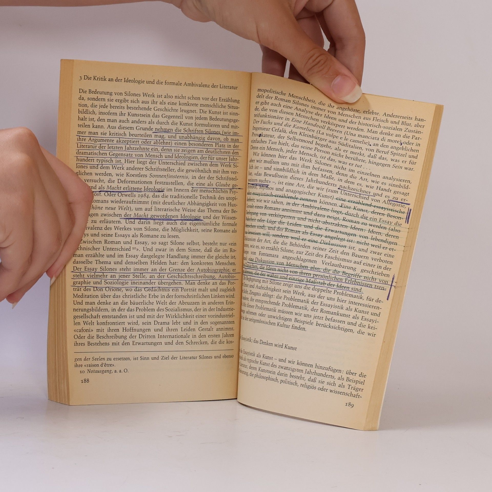 Collectif d'auteurs Theorie der Literatur bei Schriftstellern des 20. Jahrhunderts.
