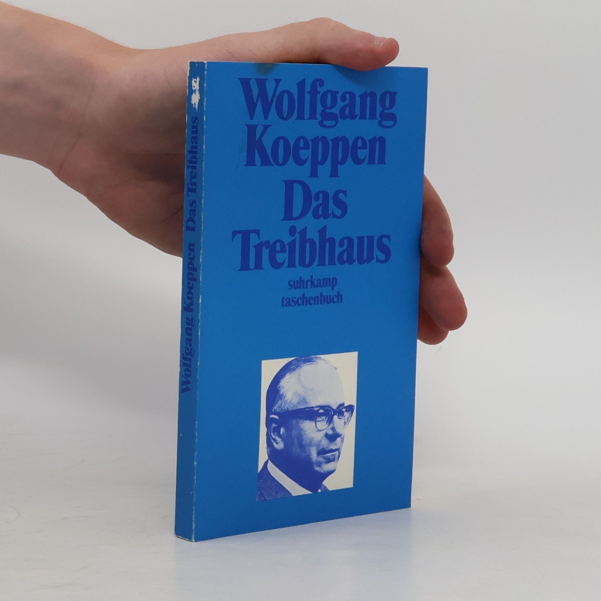 Wolfgang Koeppen Das Treibhaus