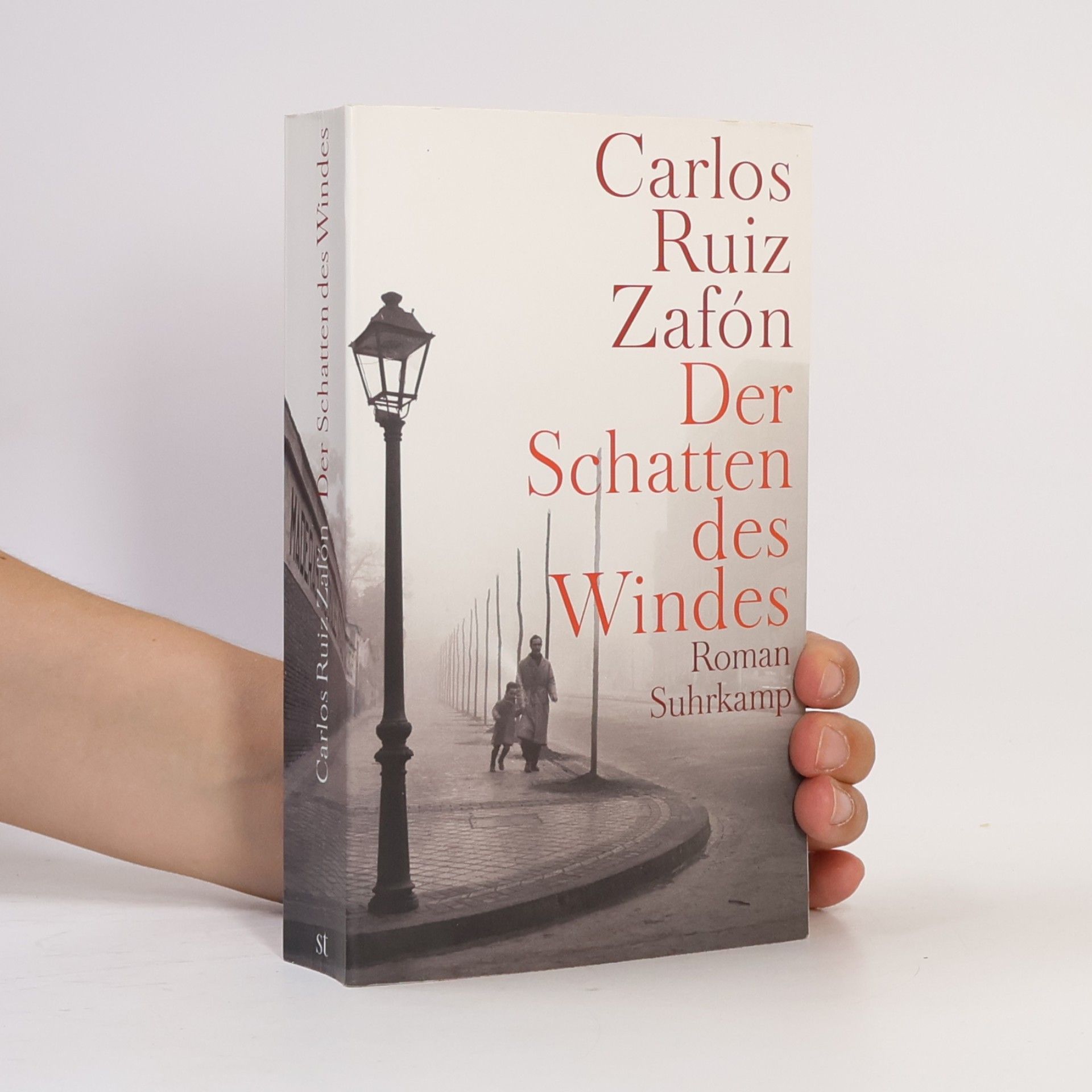 Carlos Ruiz Safon Der Schatten des Windes