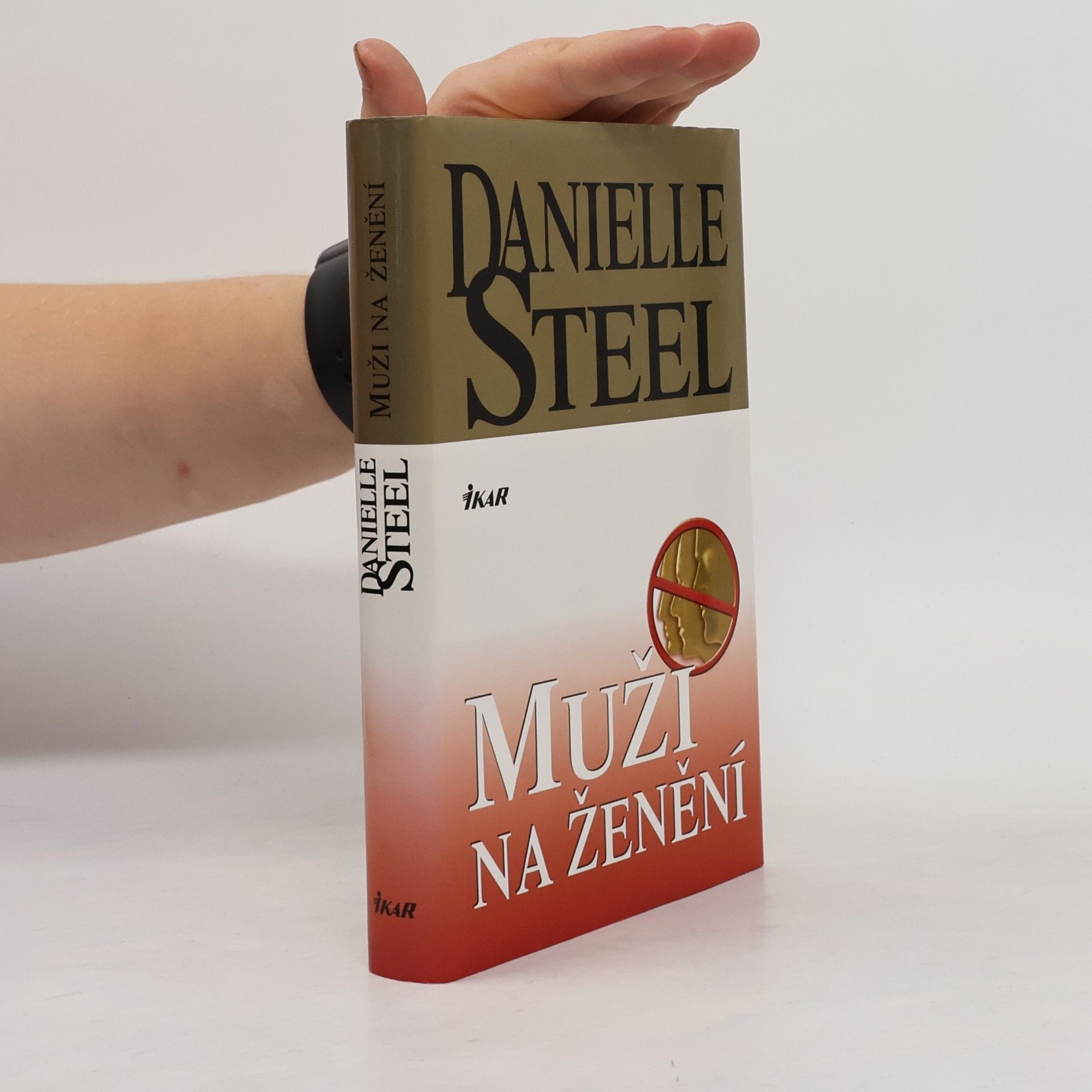 Danielle Steelová Muži na ženění