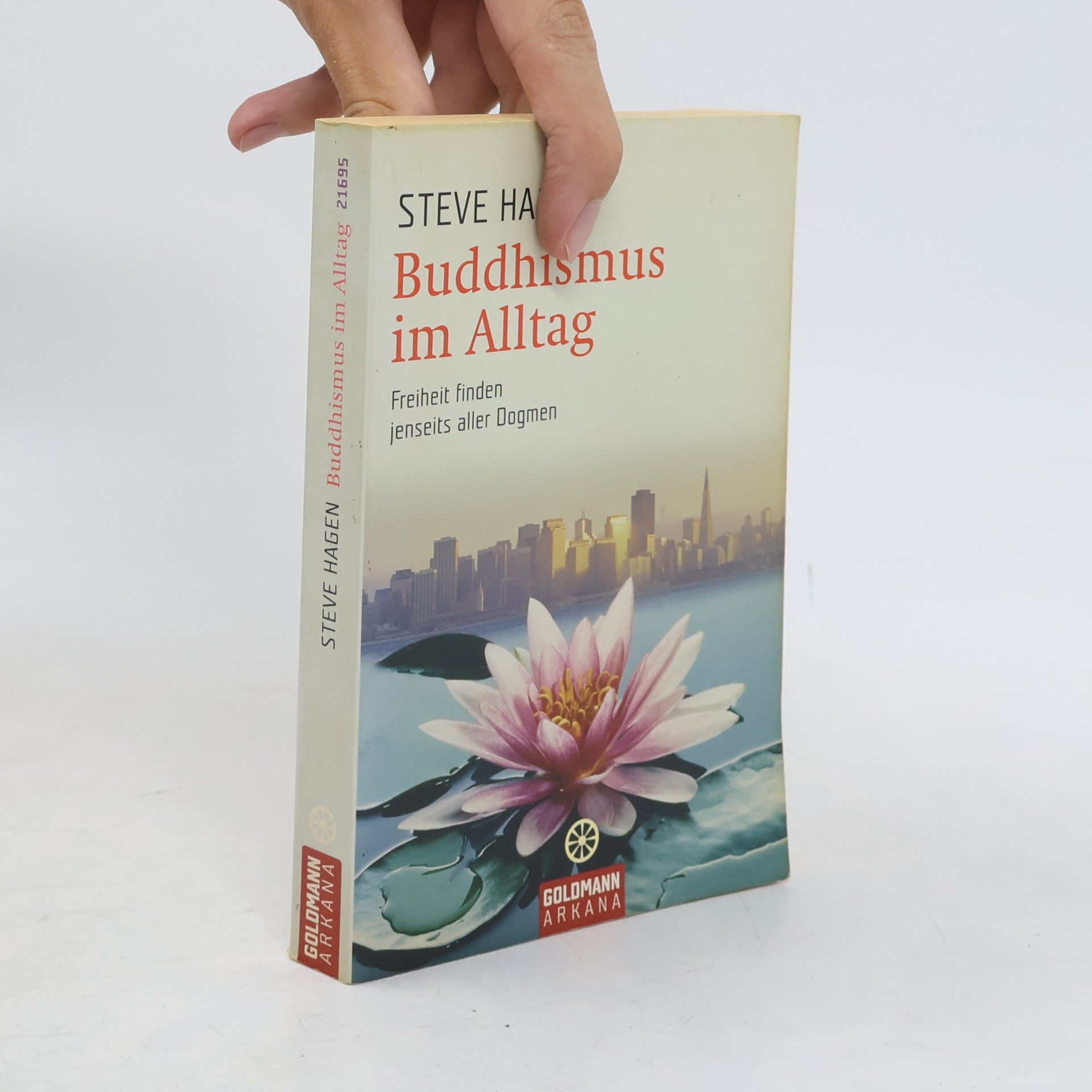 Steve Hagen Buddhismus im Alltag