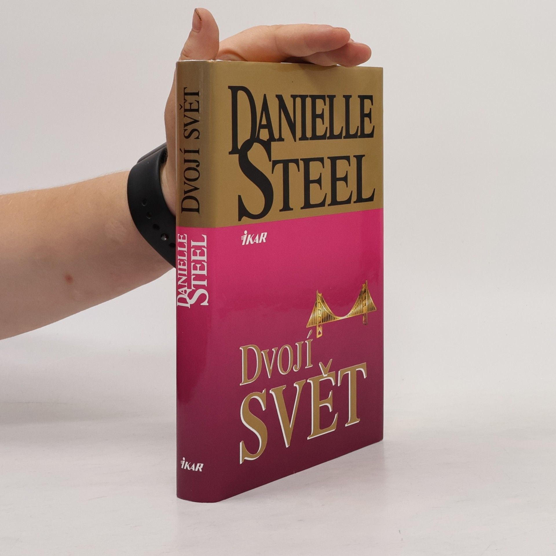 Danielle Steel Dvojí svět
