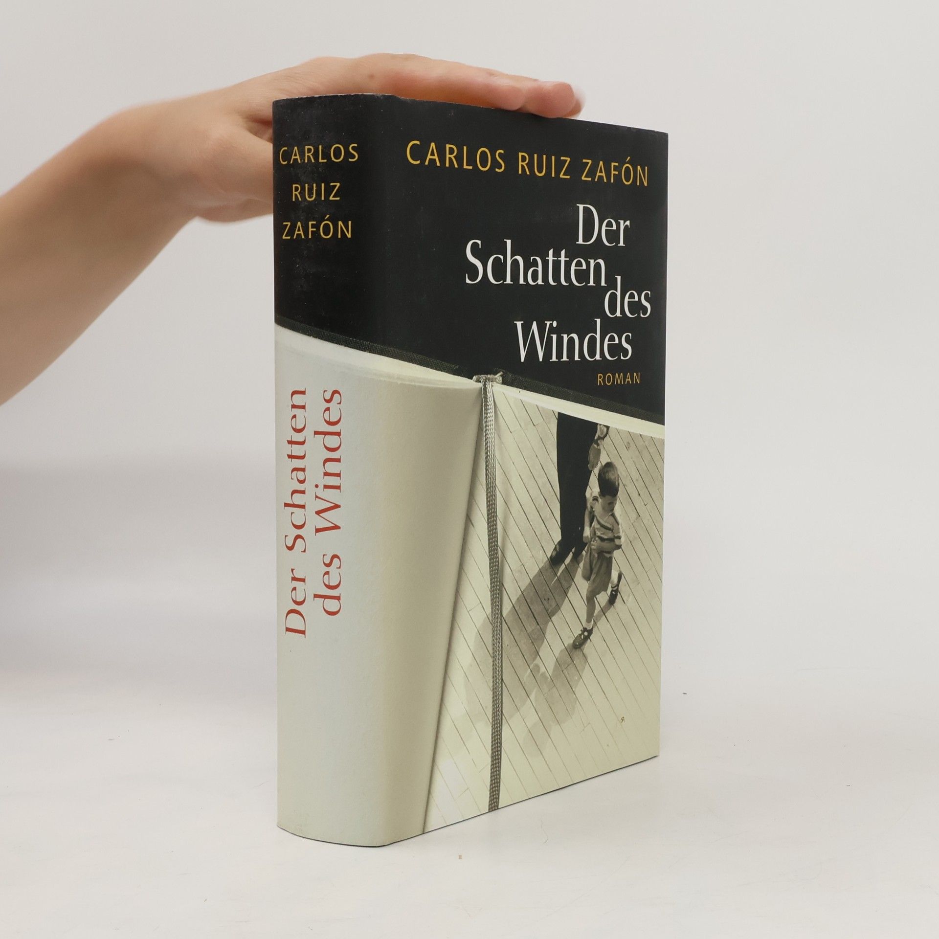 Carlos Ruiz Safon Der Schatten des Windes