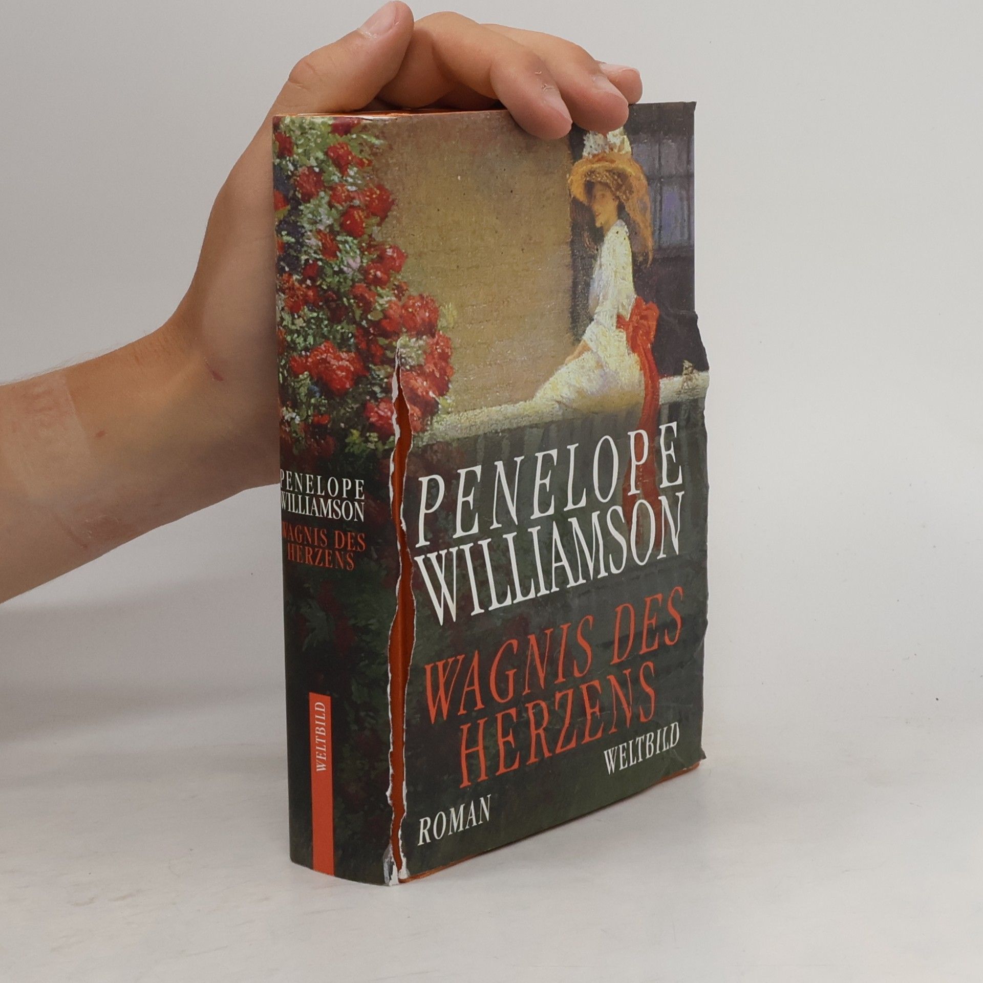 Penelope Williamson Wagnis des Herzens