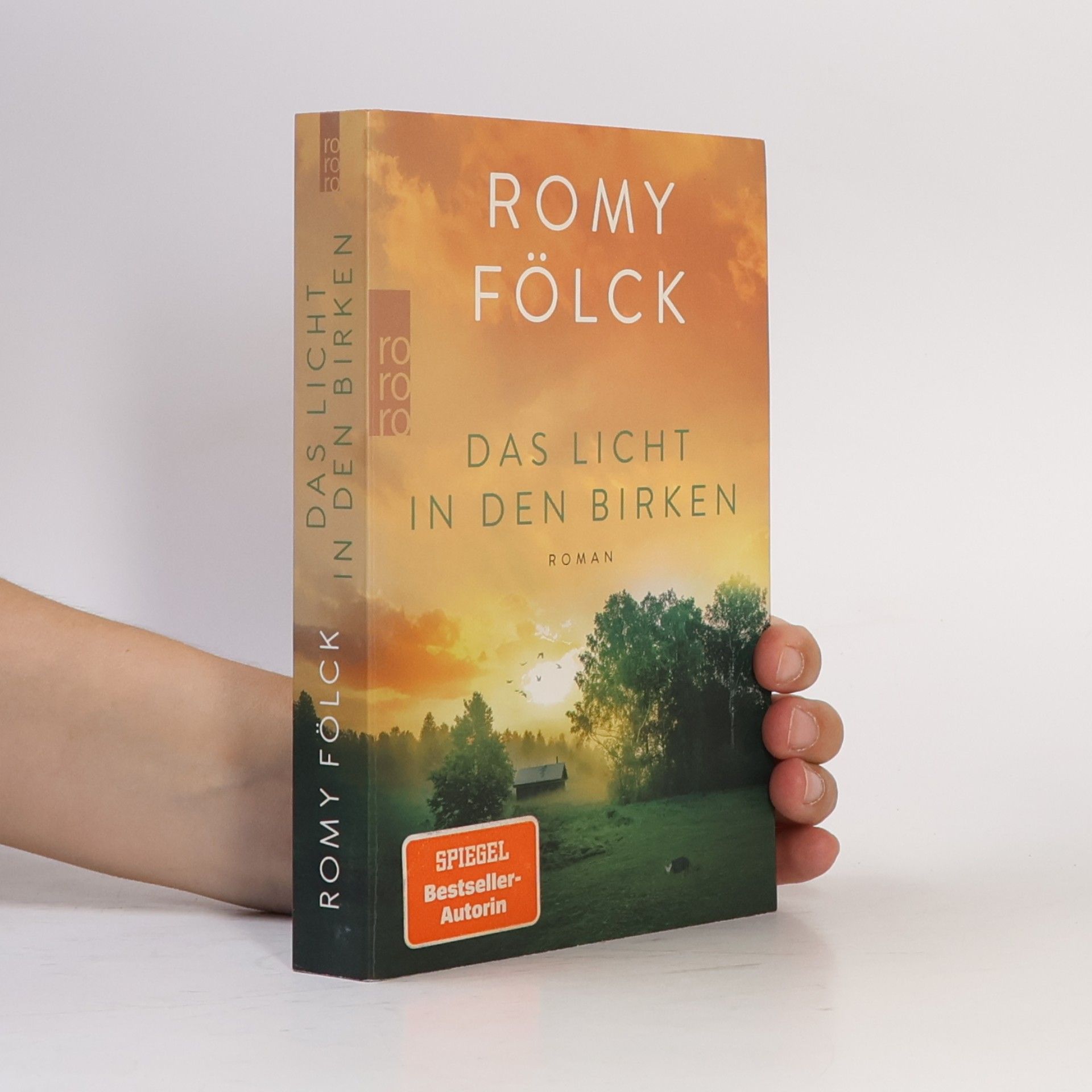 Romy Fölck Das Licht in den Birken