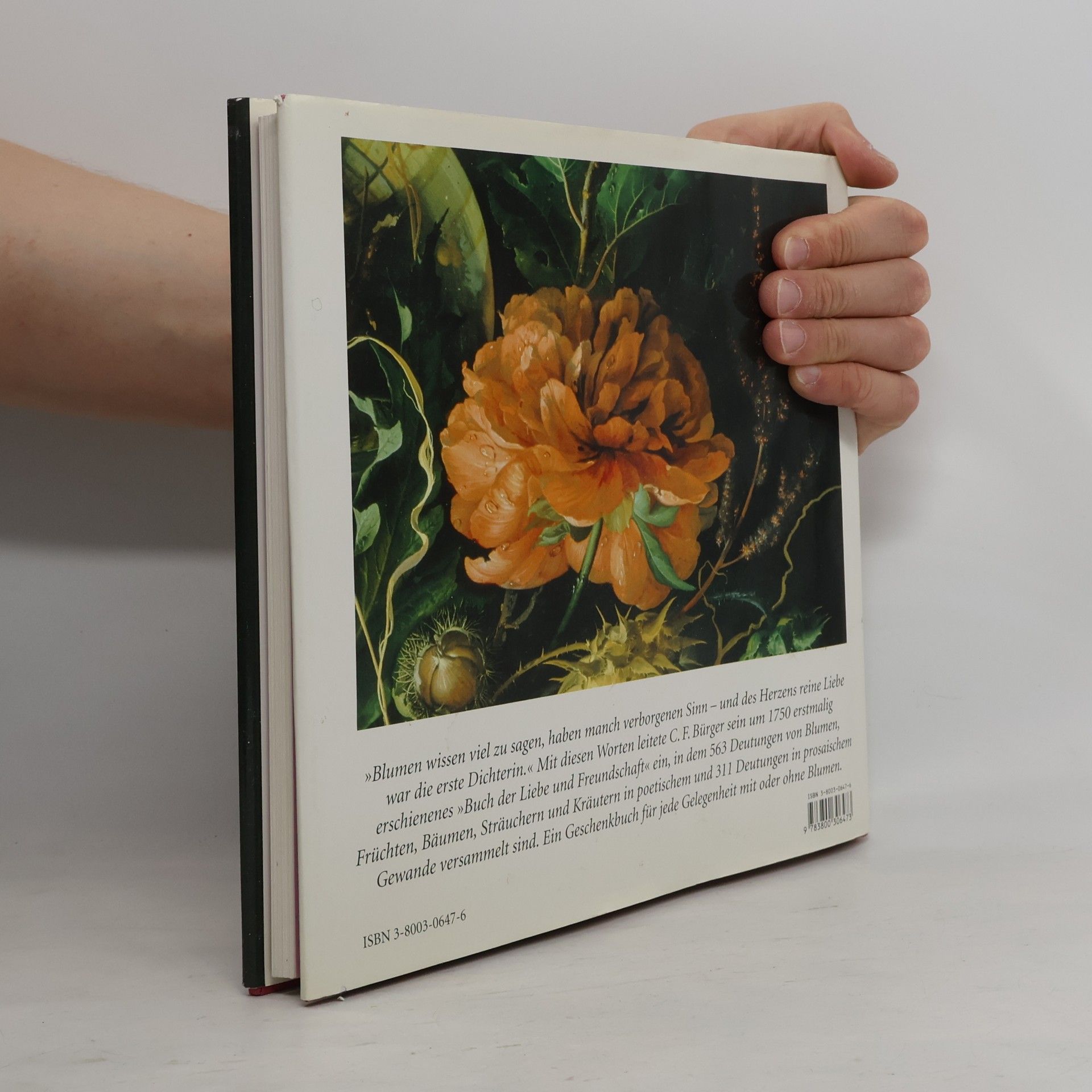 C. F. Bürger Die Blumensprache