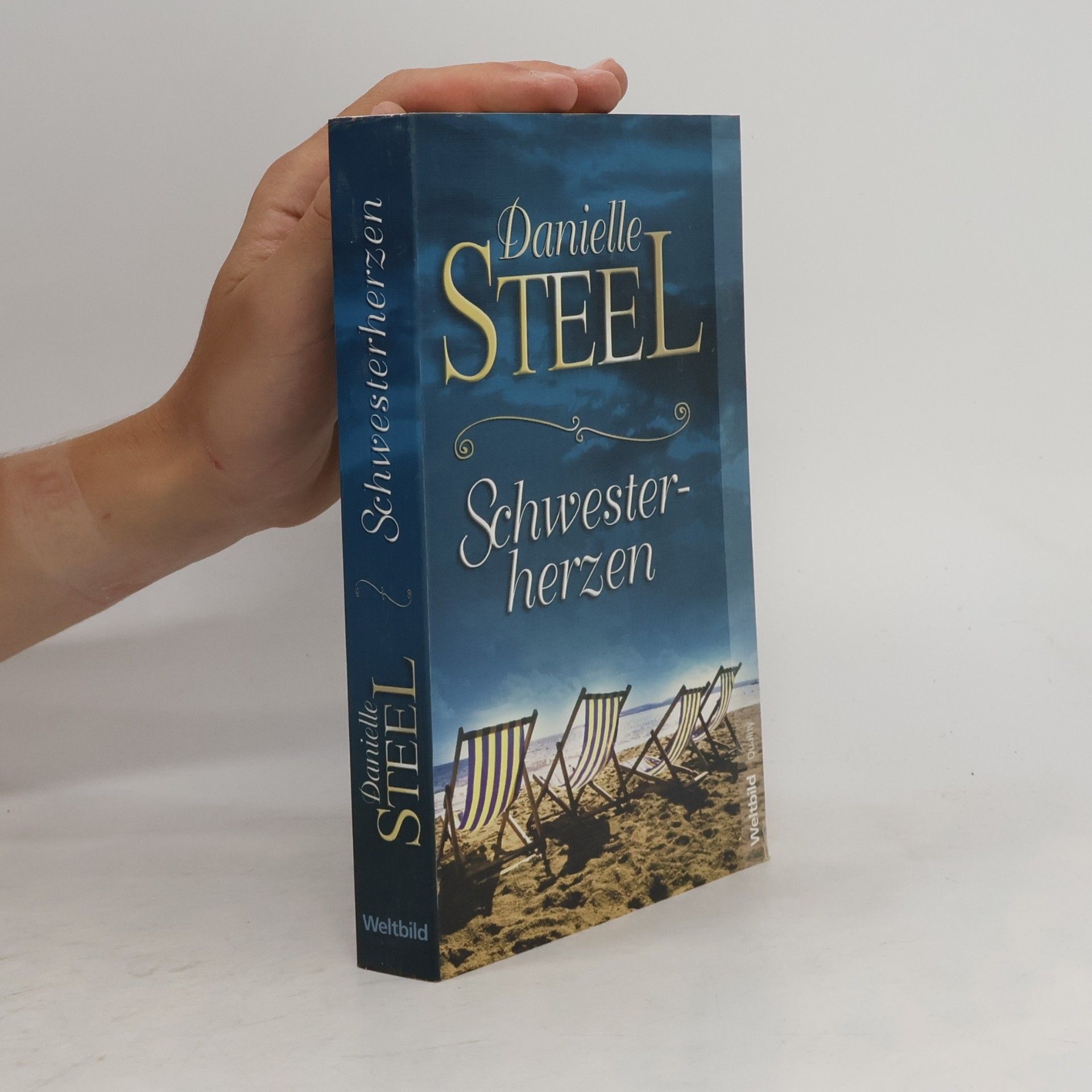 Danielle Steel Schwesterherzen