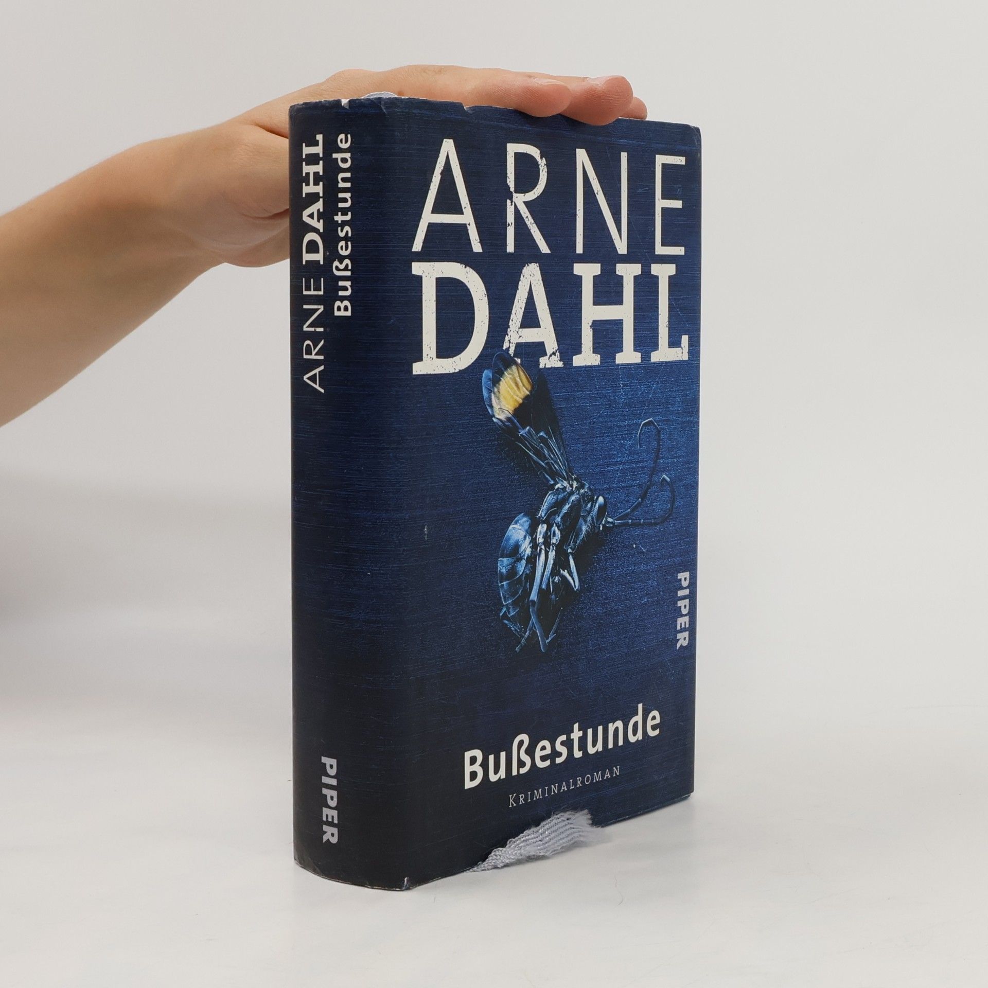 Arne Dahl Bußestunde