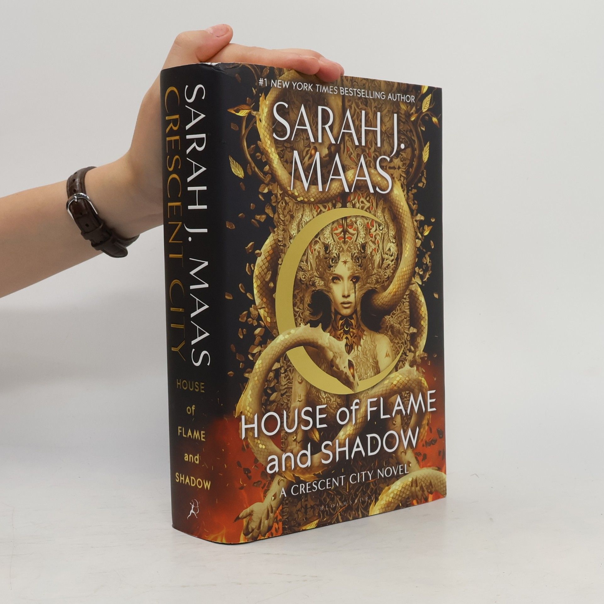 Sarah J. Maas House of Flame and Shadow