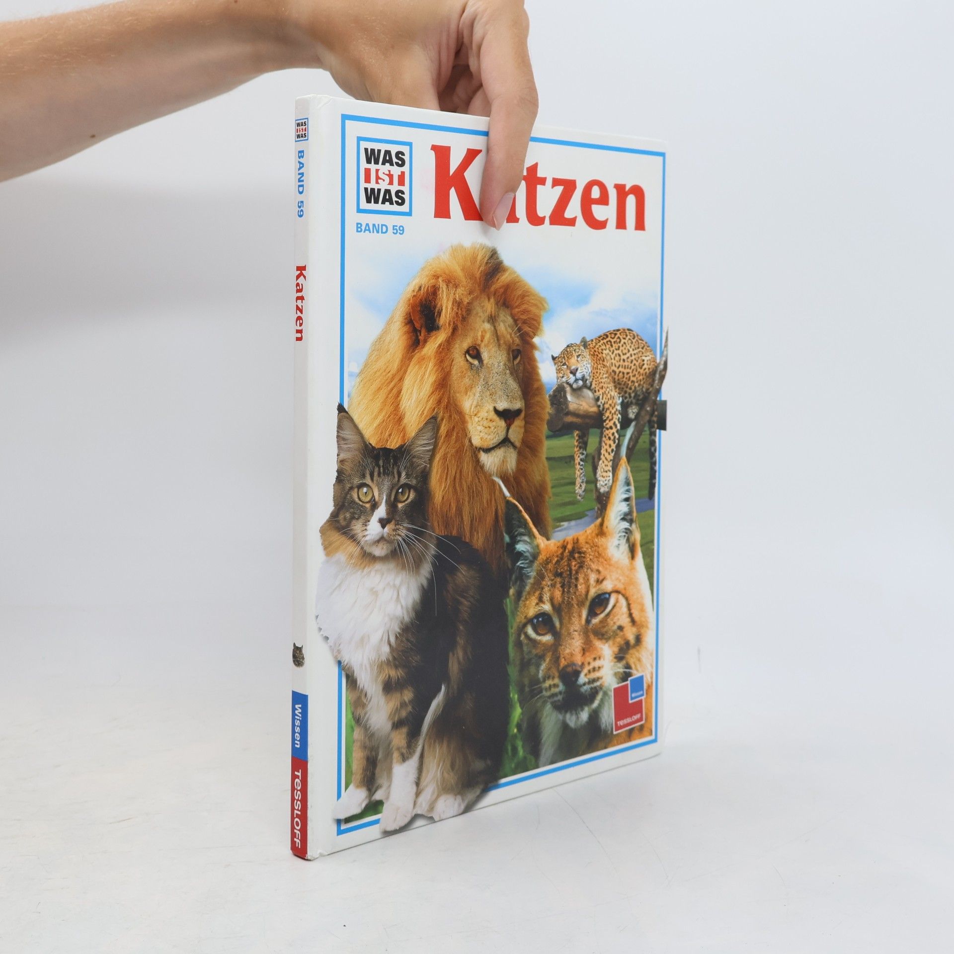 Angela King Katzen