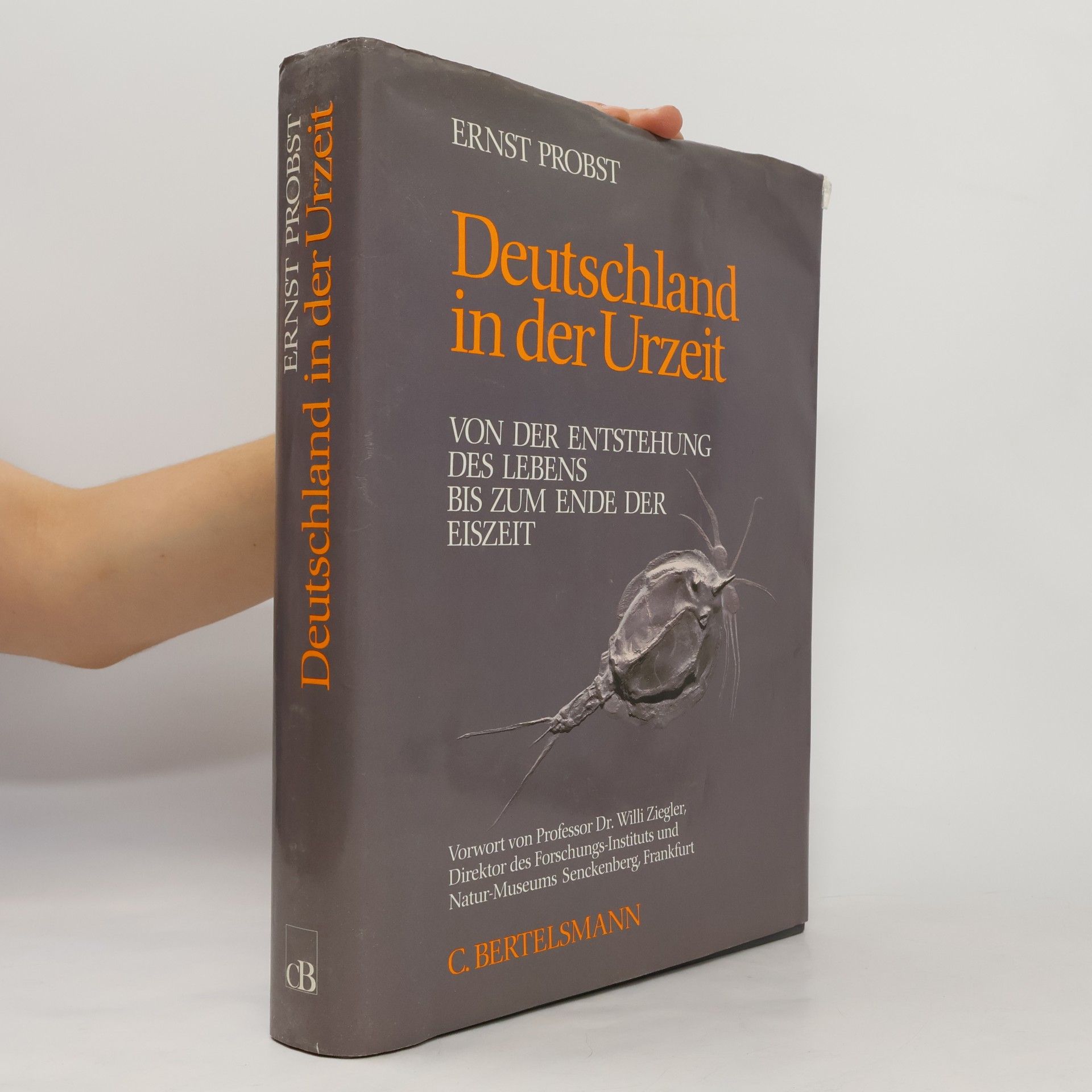 Deutschland in der Urzeit