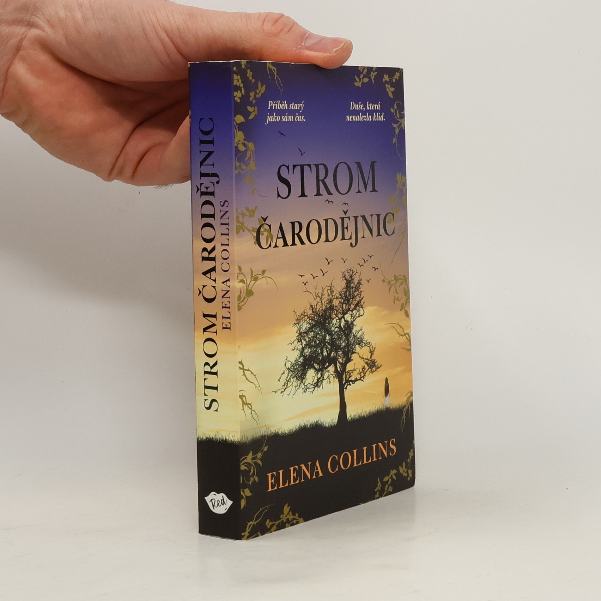 Judy Leigh Strom čarodějnic