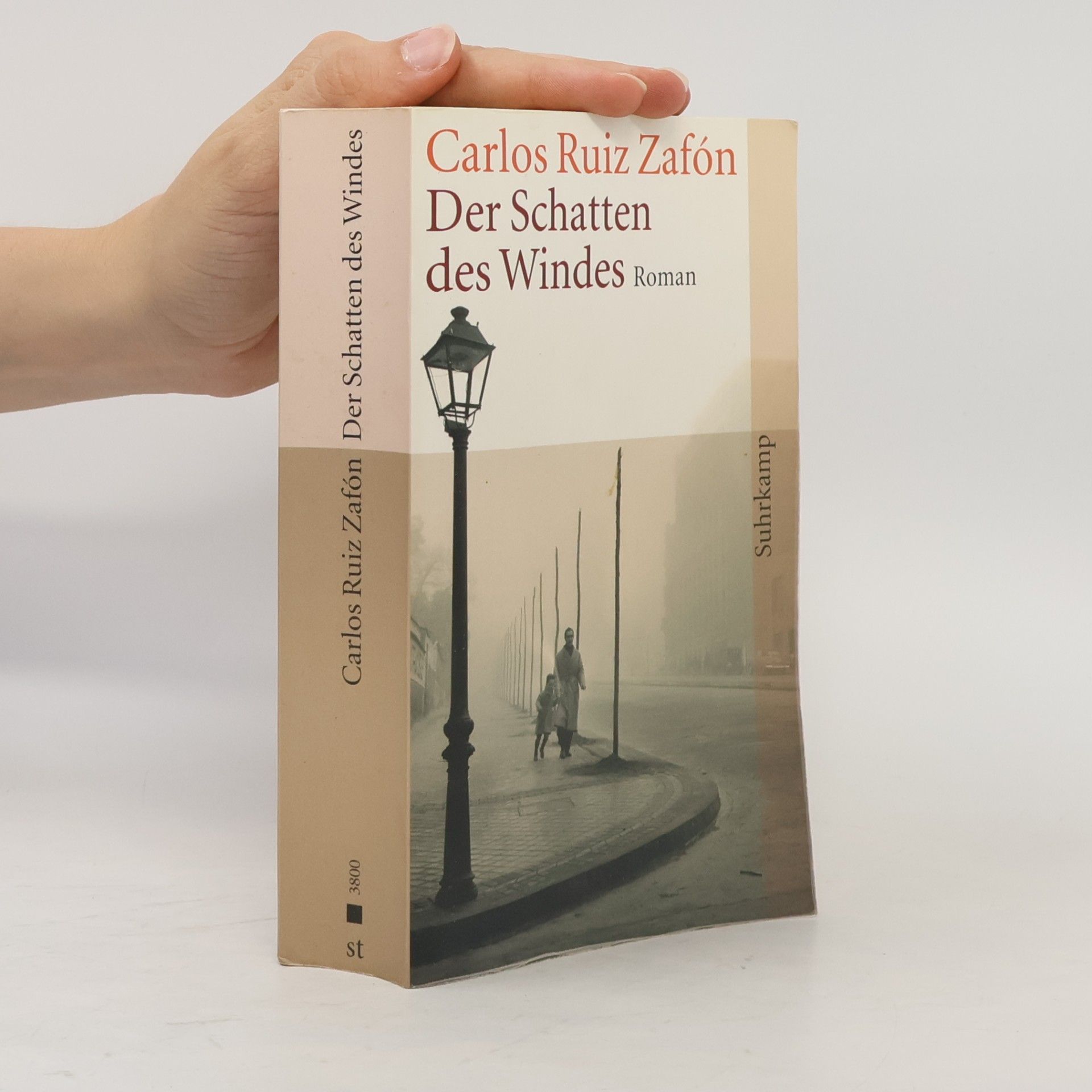 Carlos Ruiz Zafón Der Schatten des Windes