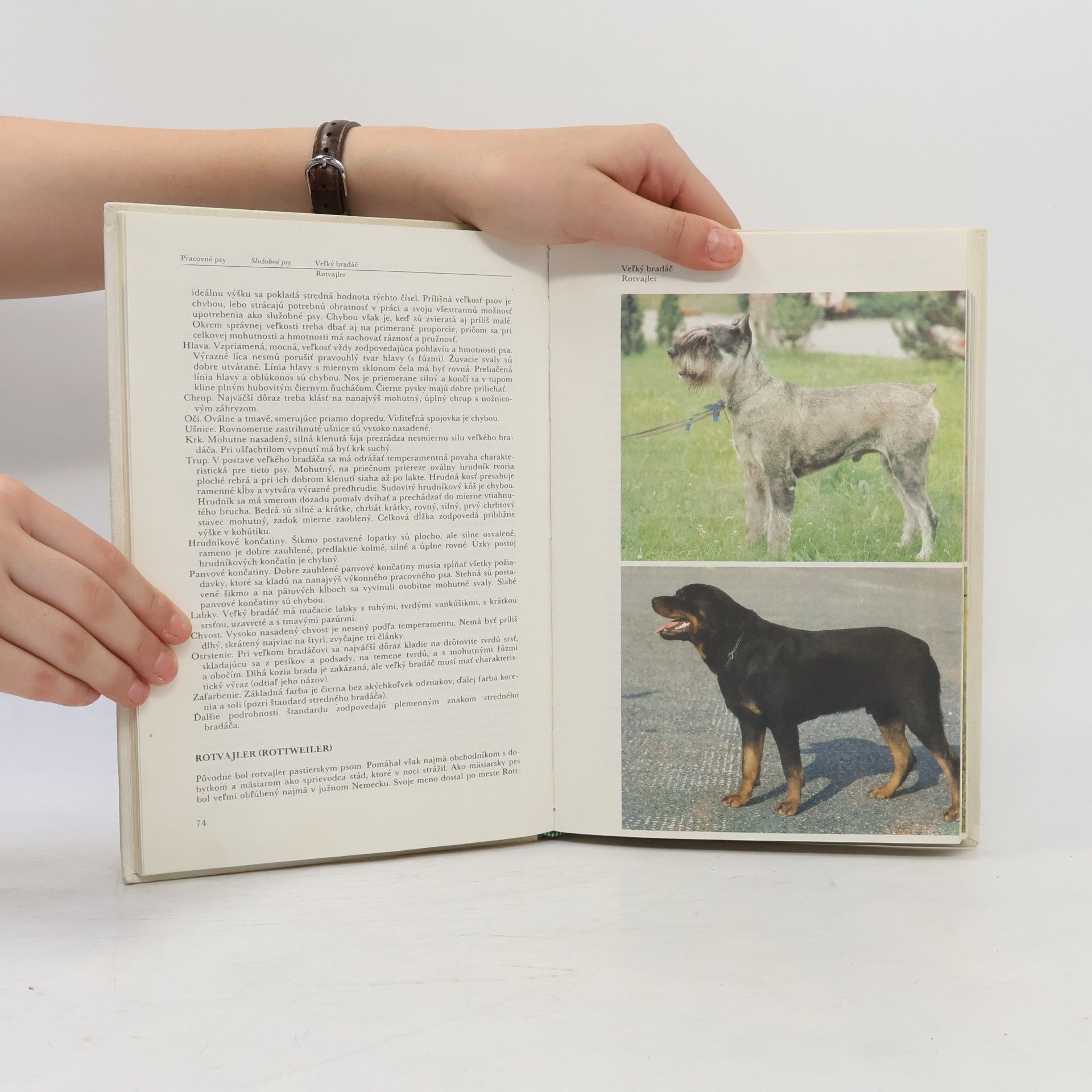 Diana Najmanová Atlas plemien psov