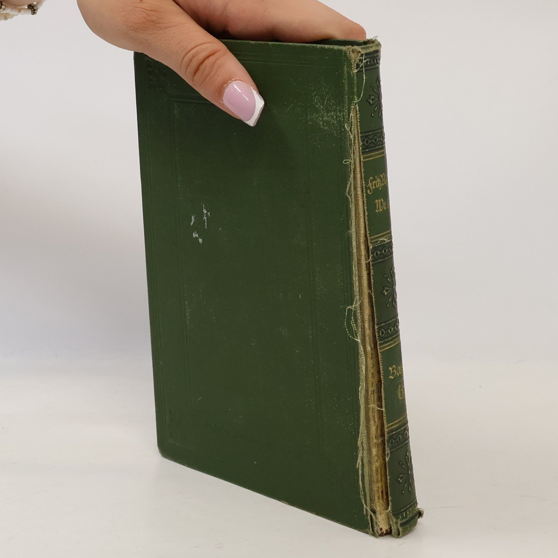 Fritz Reuter Sämmtliche Werke 6