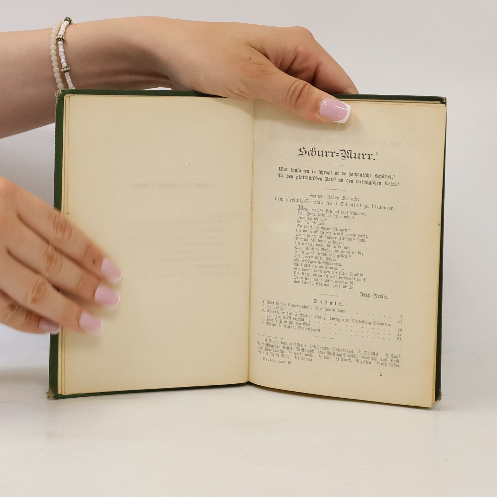 Fritz Reuter Sämmtliche Werke 6