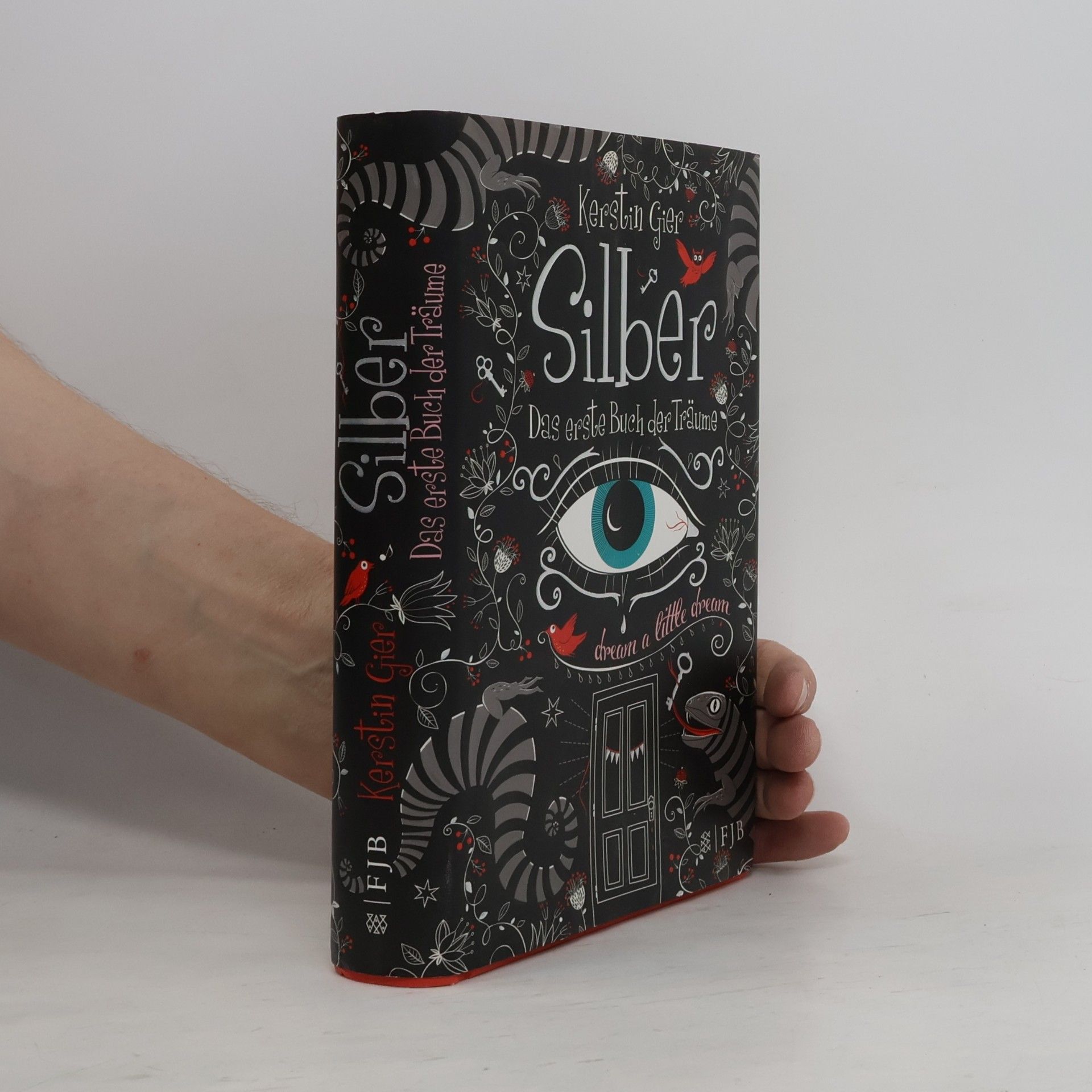 Kerstin Gier Silber. Das erste Buch der Träume