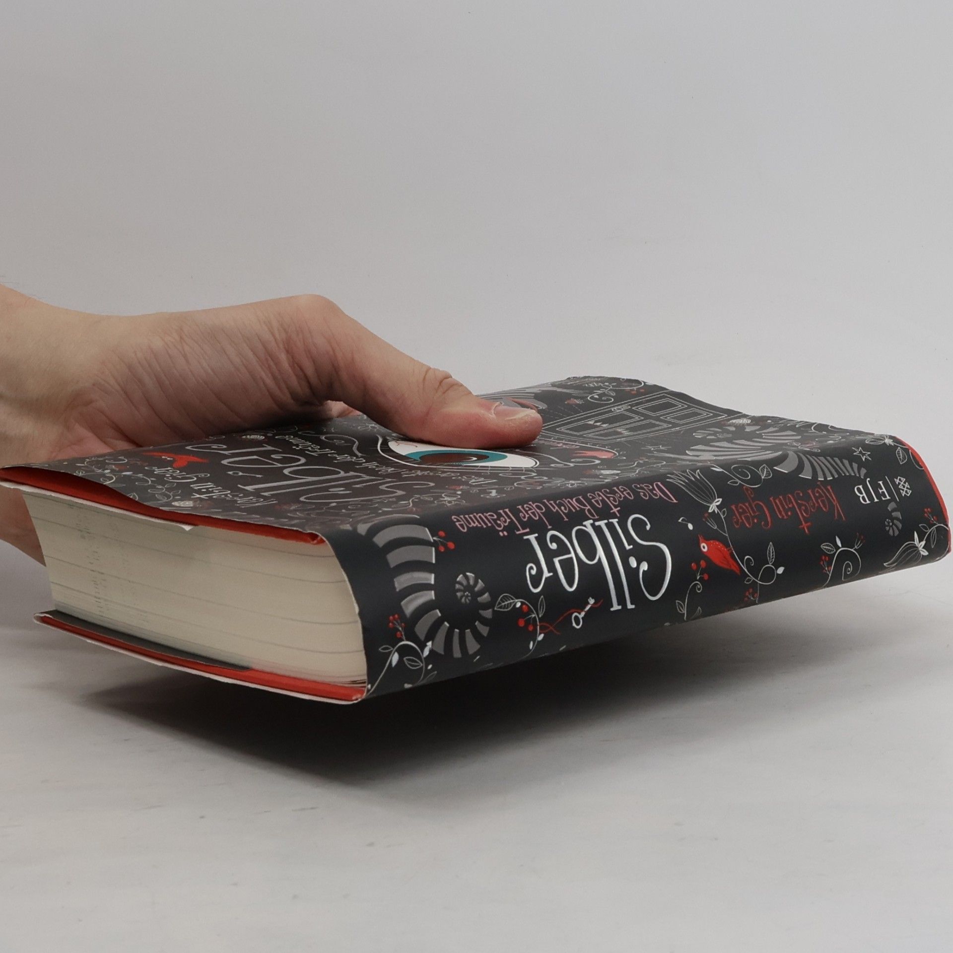 Kerstin Gier Silber. Das erste Buch der Träume