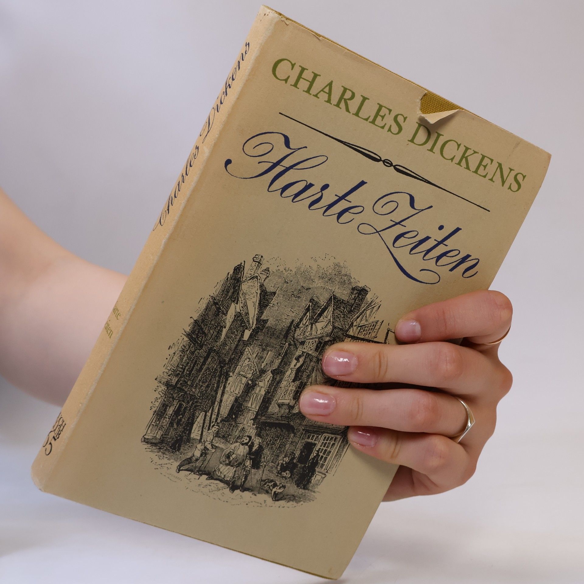 Charles Dickens Harte Zeiten