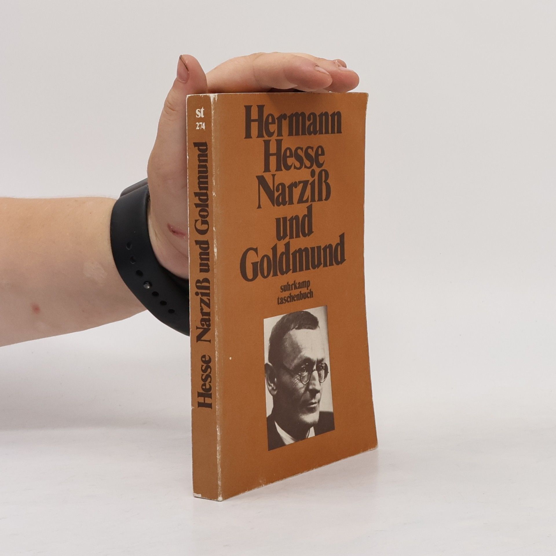 Hermann Hesse Narziß und Goldmund