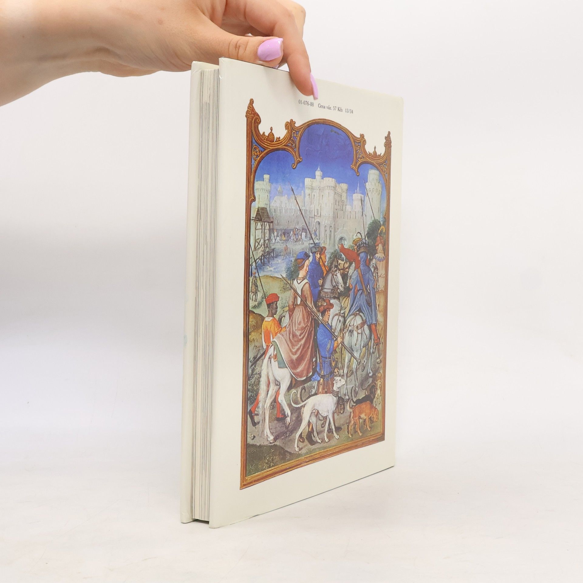 Derek Brewer Chaucer a jeho svět