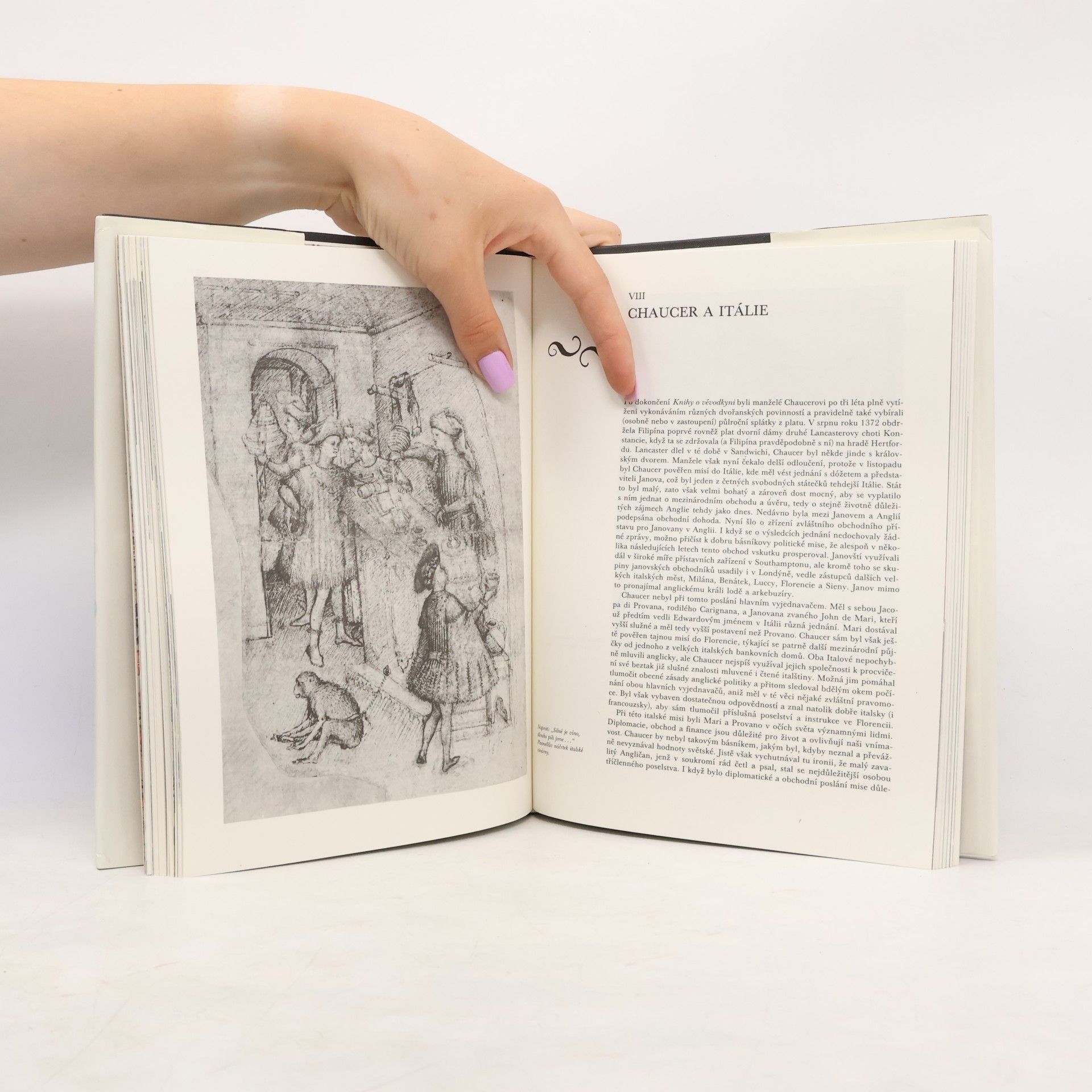 Derek Brewer Chaucer a jeho svět