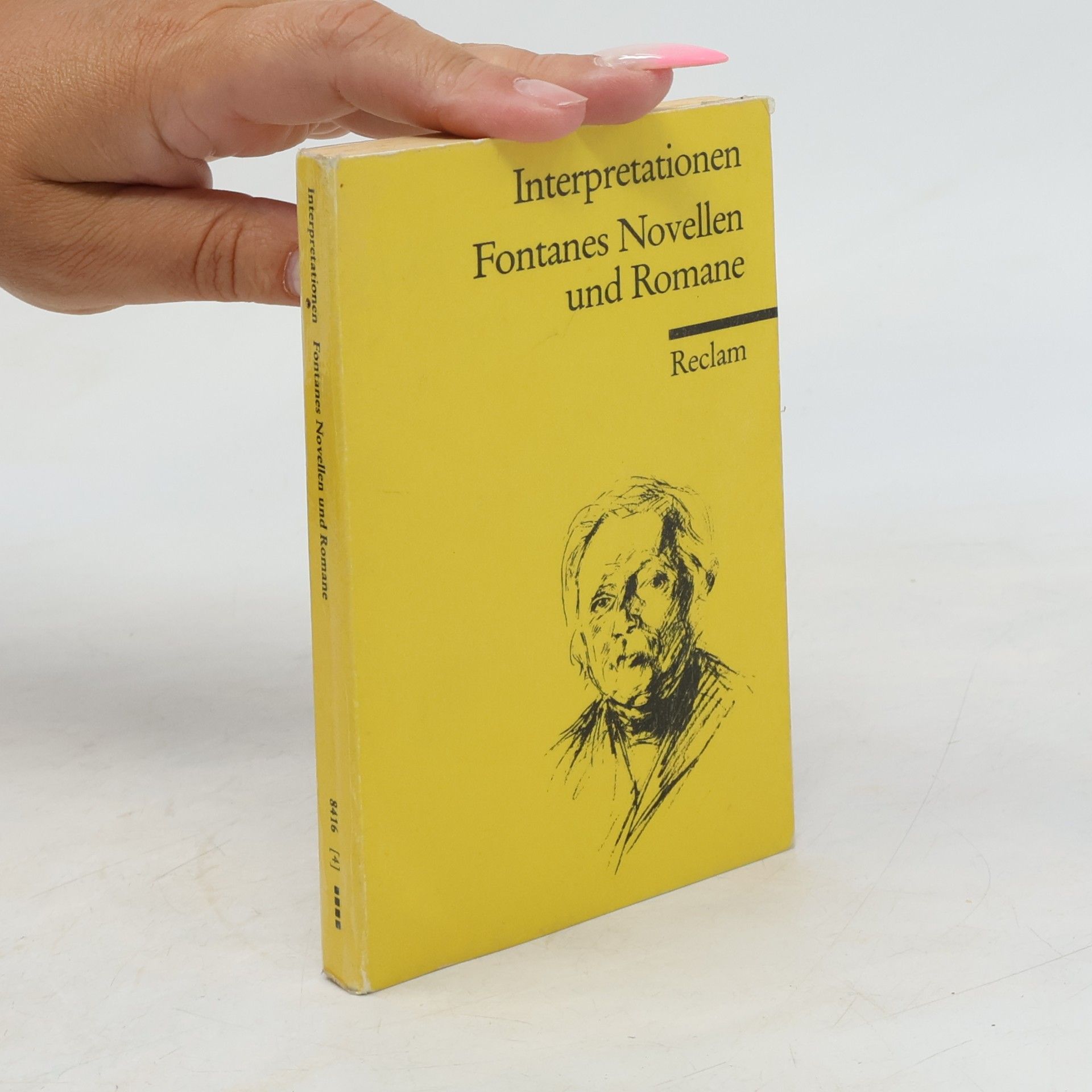 Christian Grawe Fontanes Novellen und Romane