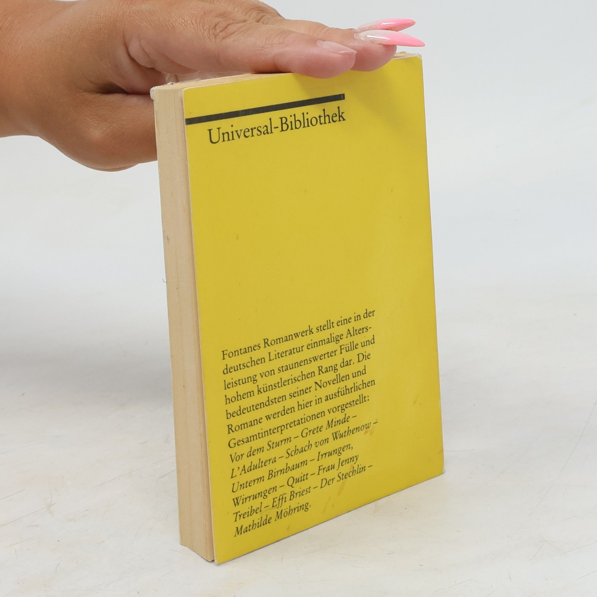 Christian Grawe Fontanes Novellen und Romane