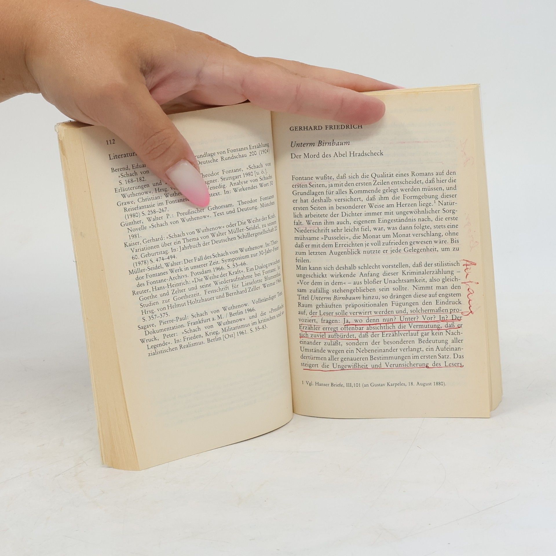 Christian Grawe Fontanes Novellen und Romane
